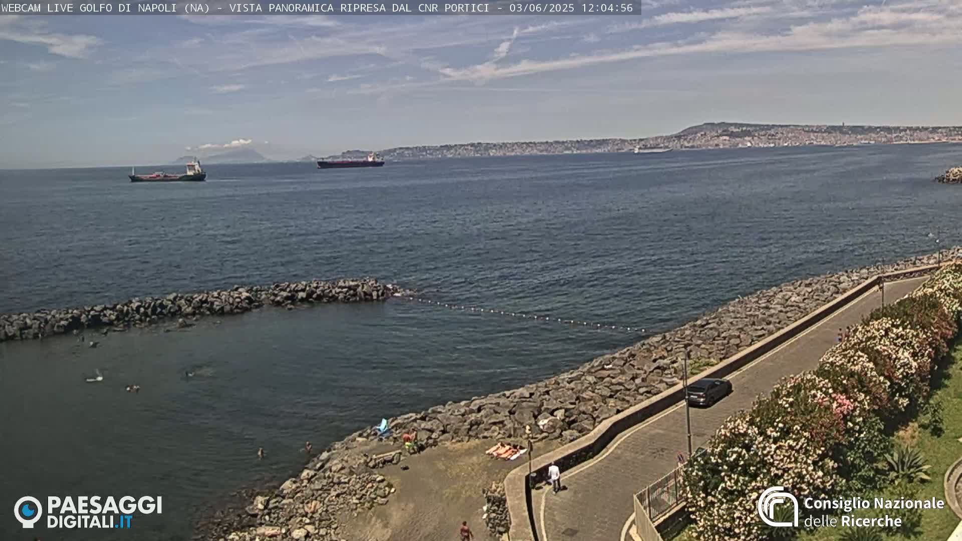 A rocky shoreline with a few people swimming and sunbathing, a road lined with flowering bushes, and a calm sea with ships in the distance under a mostly clear sky.