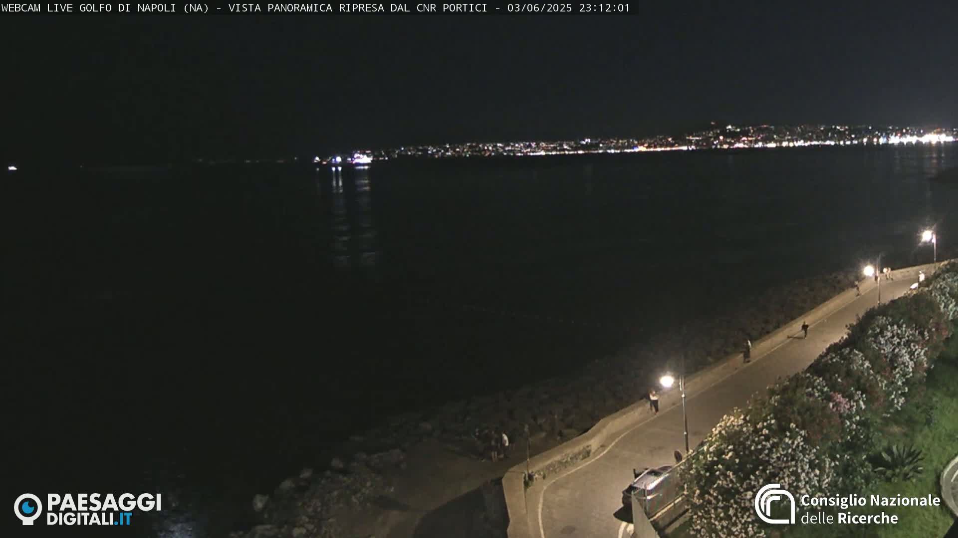 A nighttime view of a dark body of water with a brightly lit city in the distance, a paved walkway with people walking along a shoreline, and some vegetation.
