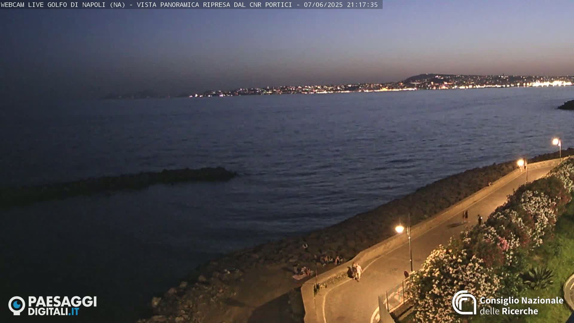 A coastal road lined with flowering bushes curves along a rocky shoreline at dusk, overlooking a dark body of water with a city's lights visible in the distance.