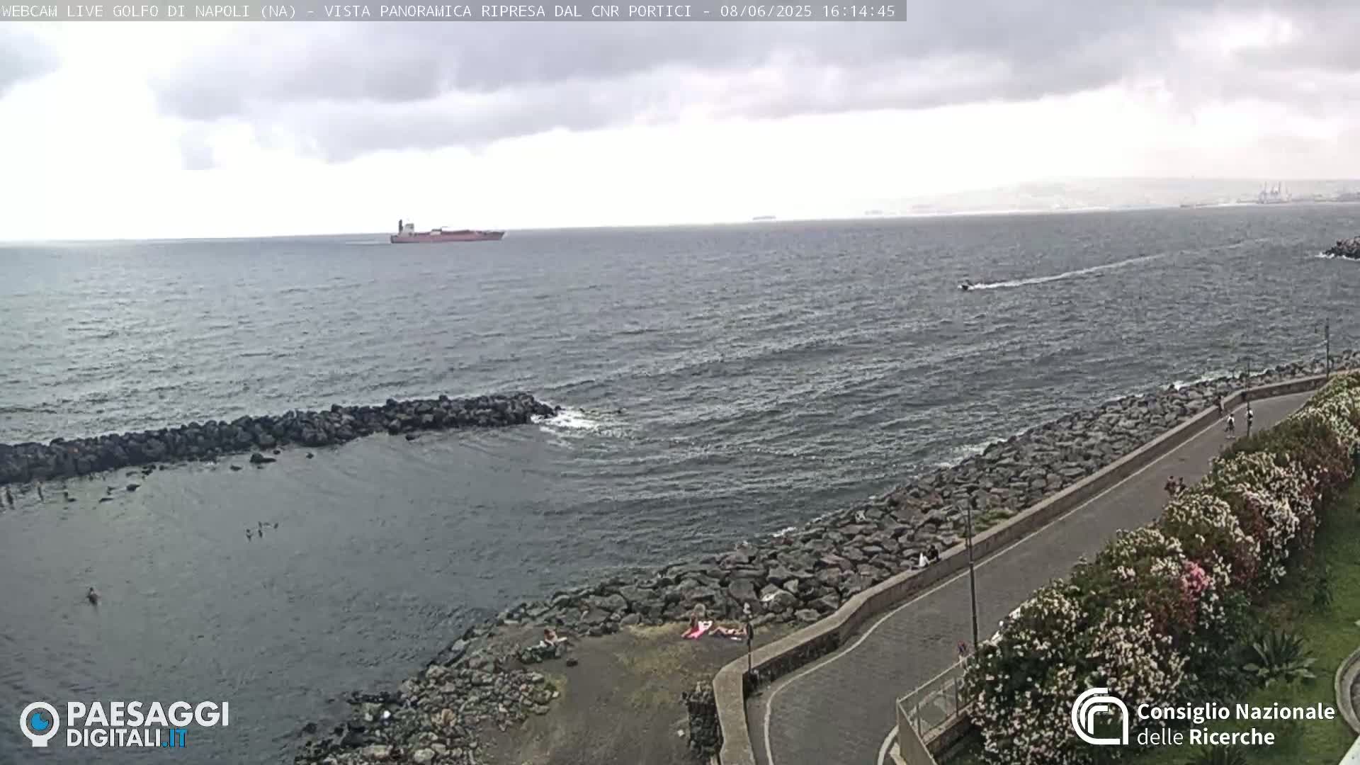A rocky coastline with a paved path lined with flowering bushes overlooks a choppy sea under a cloudy sky; a large cargo ship and small watercraft are visible in the distance.