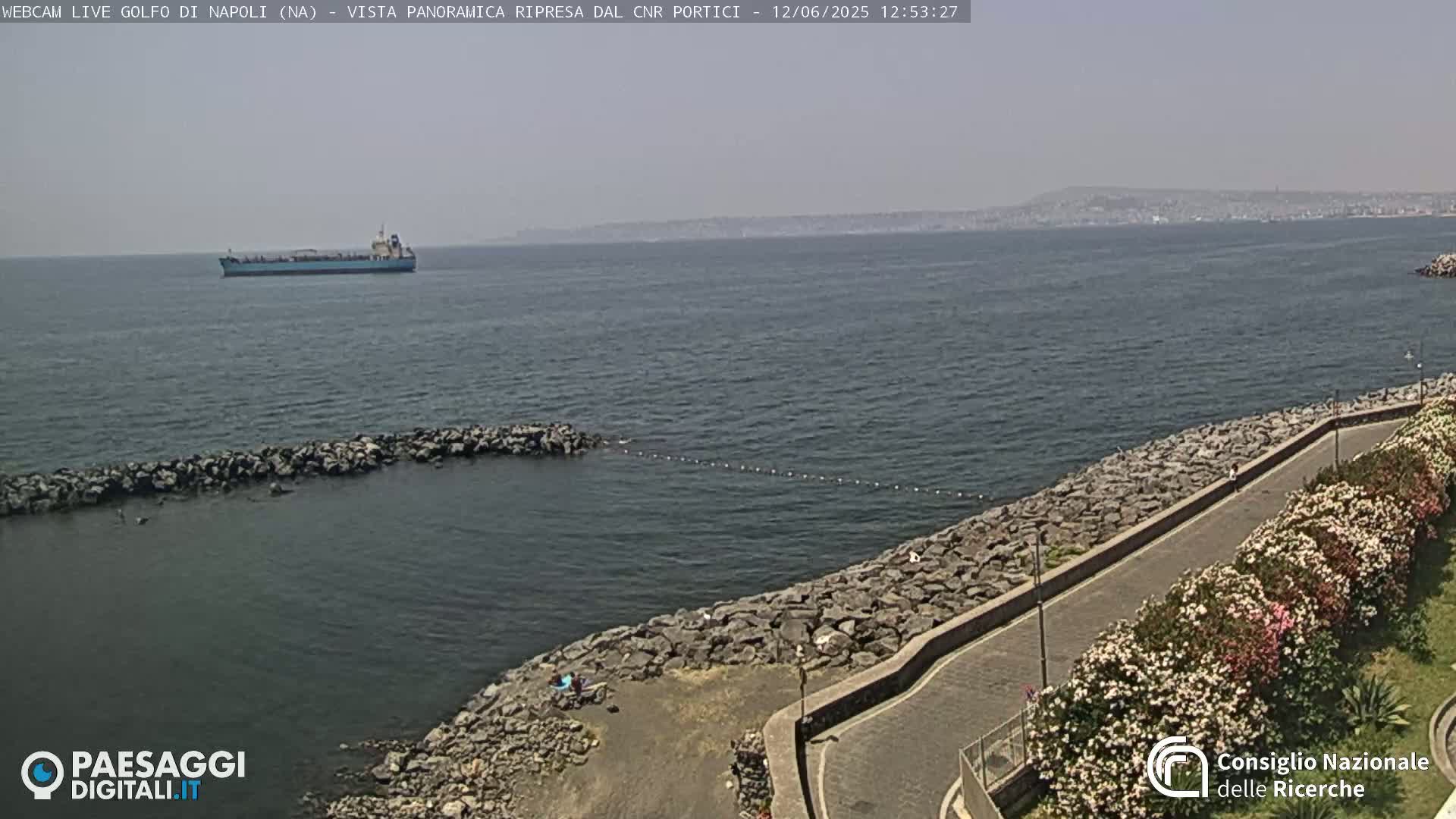 A hazy day reveals a cargo ship on a calm body of water next to a rocky shoreline with a paved walkway and flowering bushes.