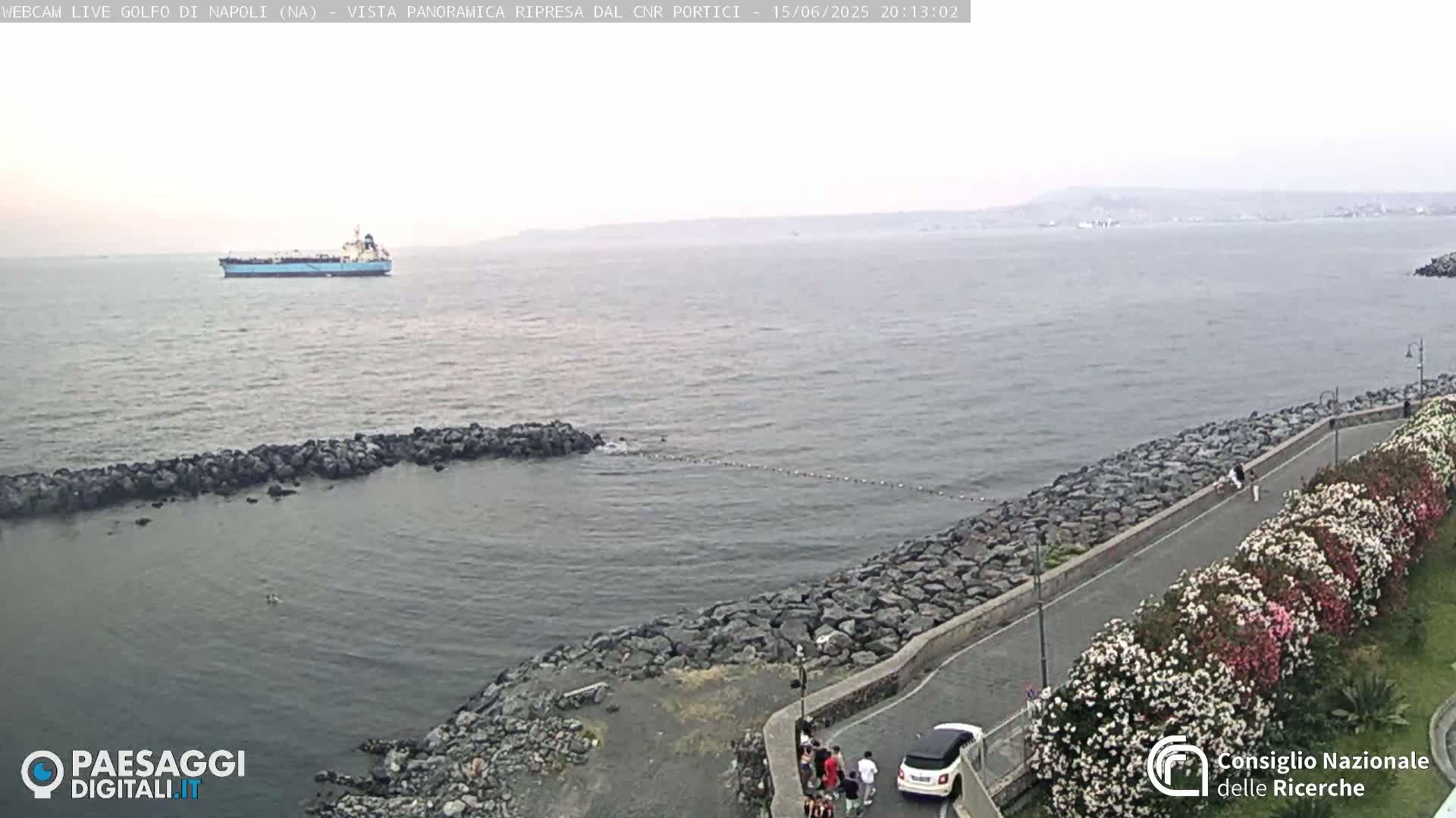 A large cargo ship is visible on a calm, hazy body of water near a rocky shoreline with a paved walkway lined with flowering bushes.