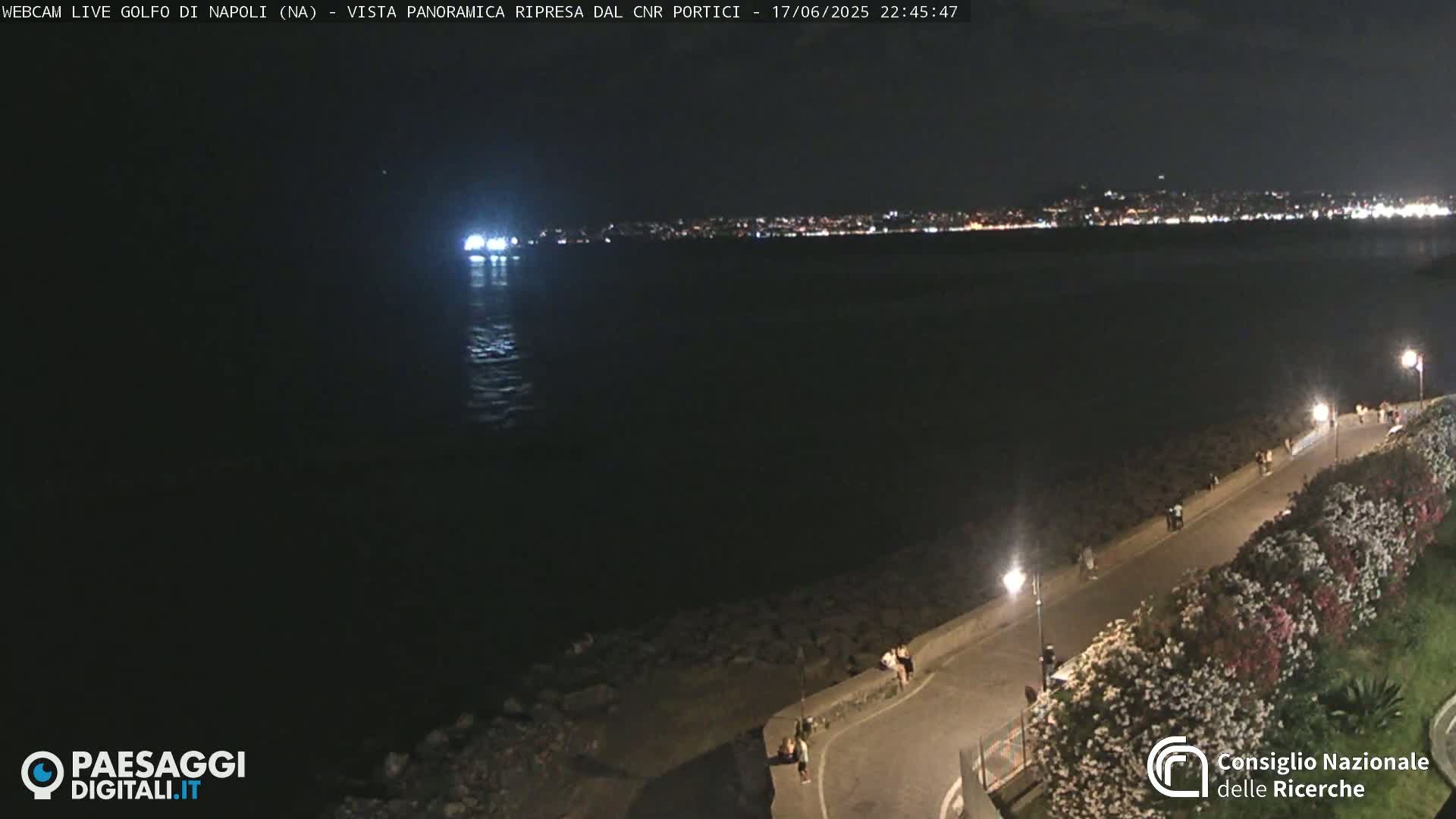 A nighttime view of a city skyline across a dark body of water, with a paved walkway and people strolling along the shoreline next to some flowering bushes.
