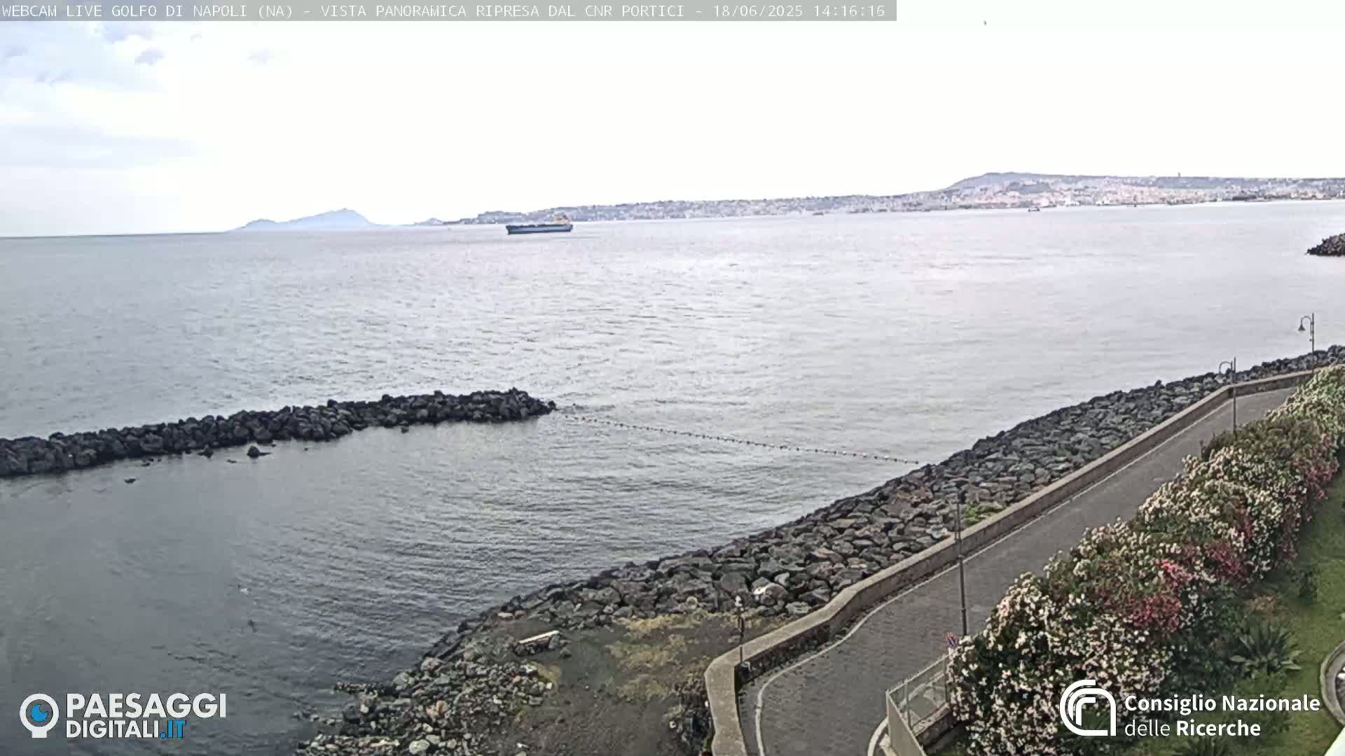 A calm, overcast day shows a rocky coastline with a road and flowering bushes overlooking a bay, a distant city, and a small island.