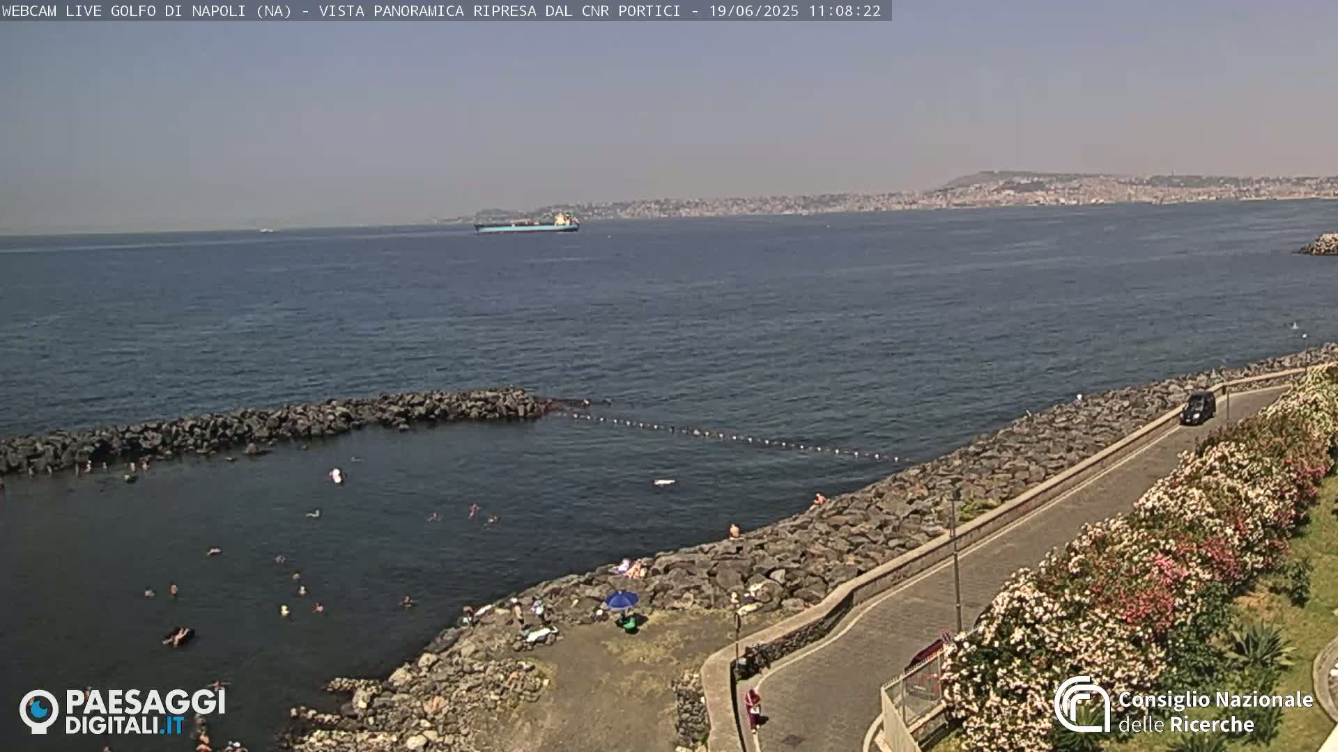 A rocky shoreline with people swimming and sunbathing, a road lined with flowering bushes, and a calm sea with a distant cityscape under a clear, sunny sky.