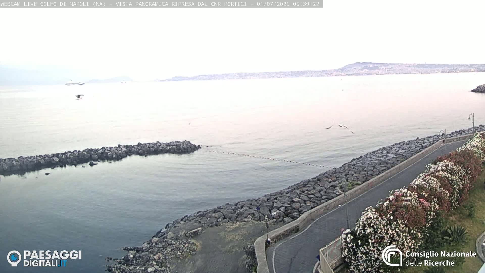 Napoli Gulf Live Cam  - Naples, Campania, Italy