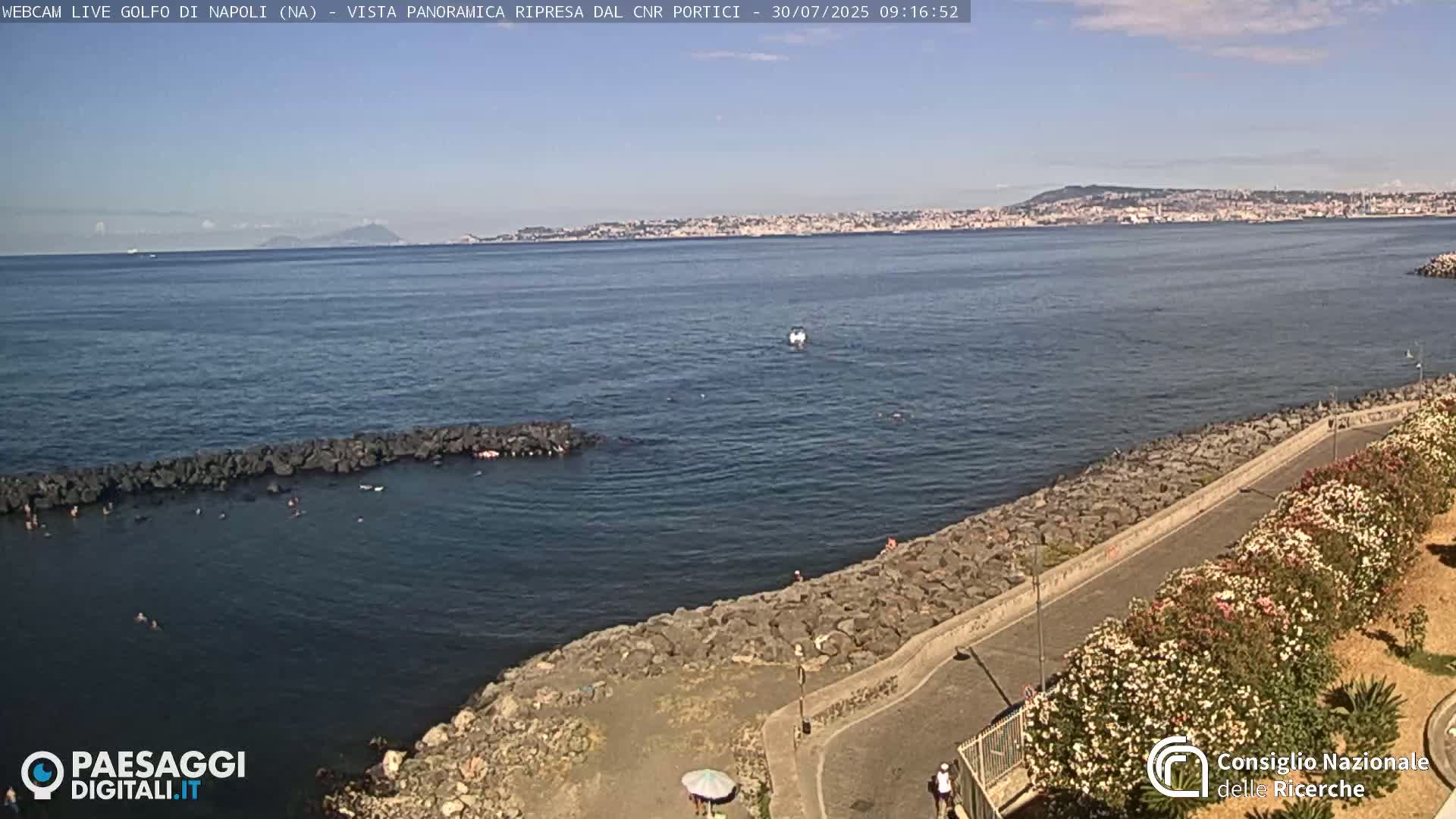 A rocky shoreline with a paved path lined with flowering bushes overlooks a calm bay and a distant city under a clear sky.