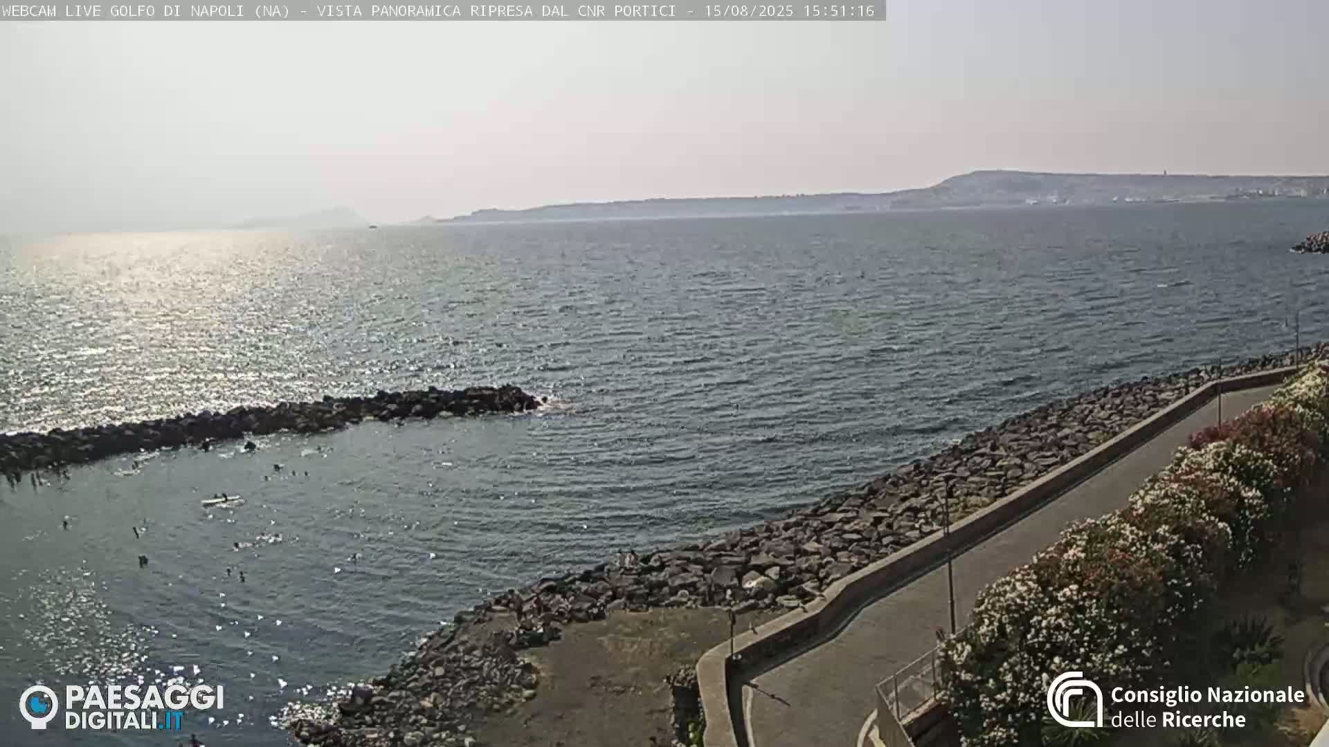 A rocky shoreline with a paved path lined with flowering bushes overlooks a calm bay and a distant city under a clear sky.