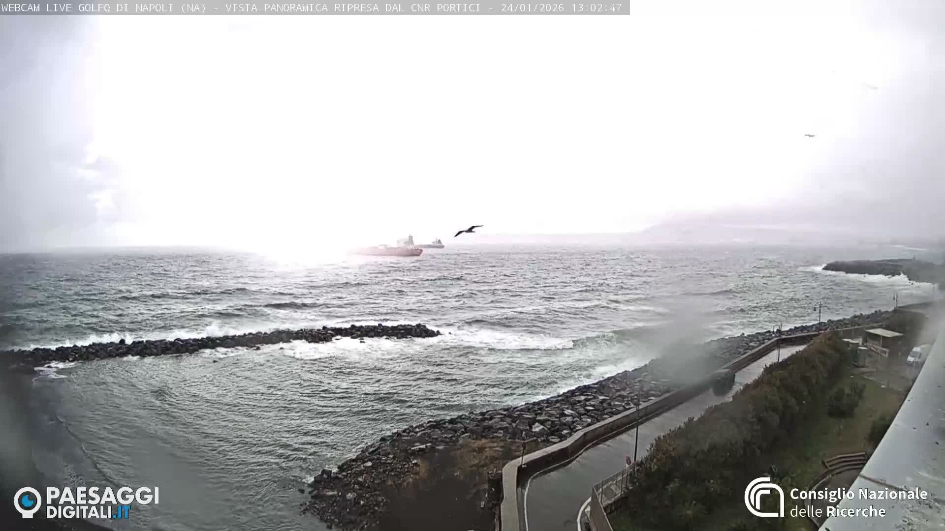 Napoli Gulf Live Cam  - Naples, Campania, Italy