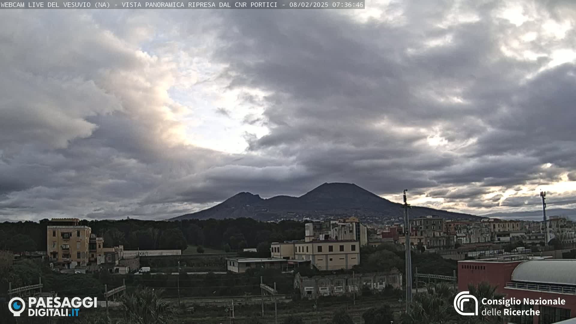 Mount Vesuvius is visible in the distance under a cloudy sky, with buildings and trees in the foreground.