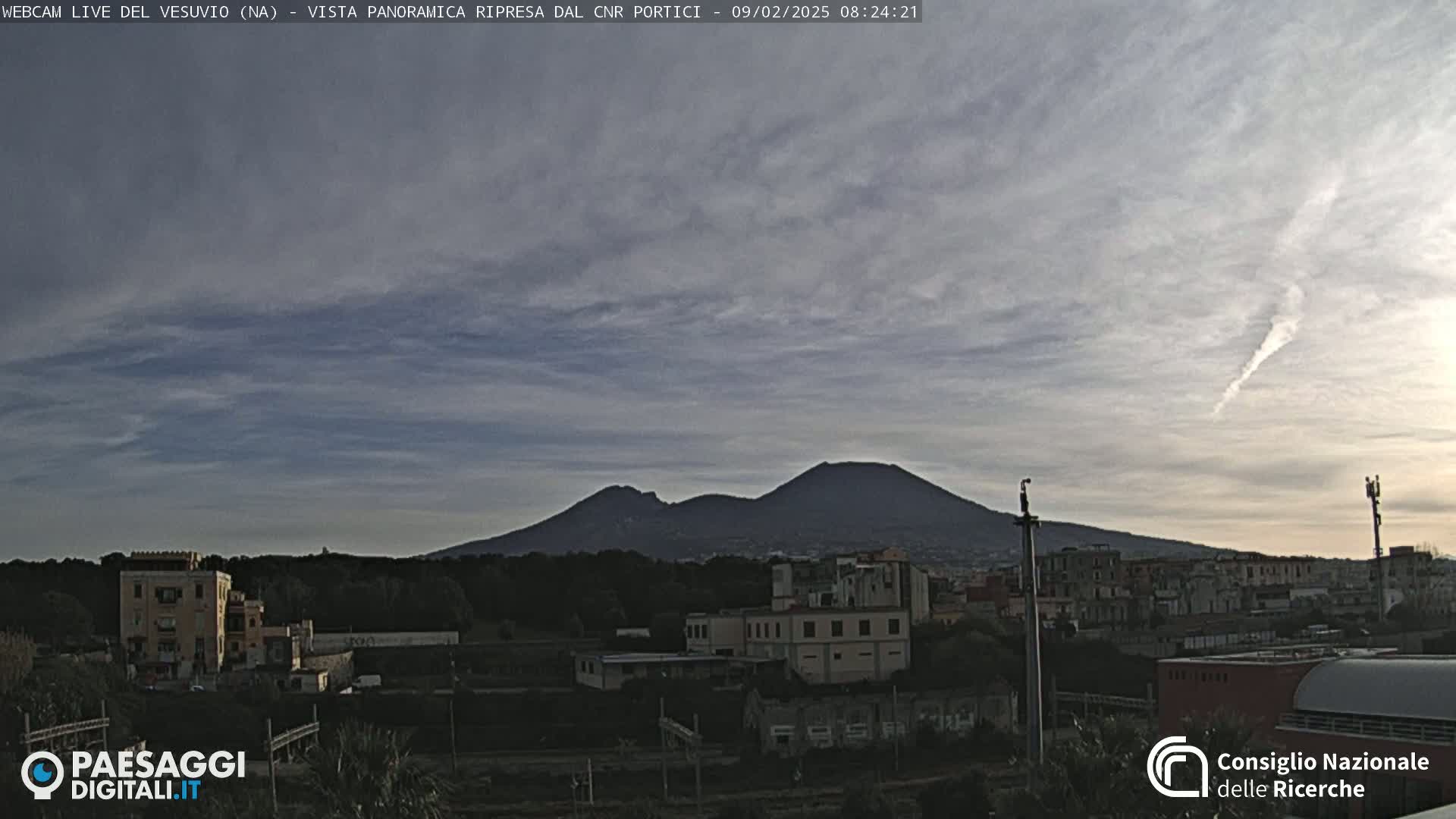 Mount Vesuvius is visible in the distance under a mostly cloudy sky, with buildings and trees in the foreground.