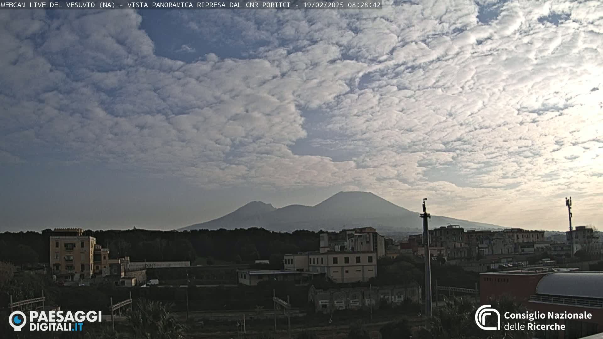 A view of Mount Vesuvius in the distance under a partly cloudy sky, with buildings and trees in the foreground.