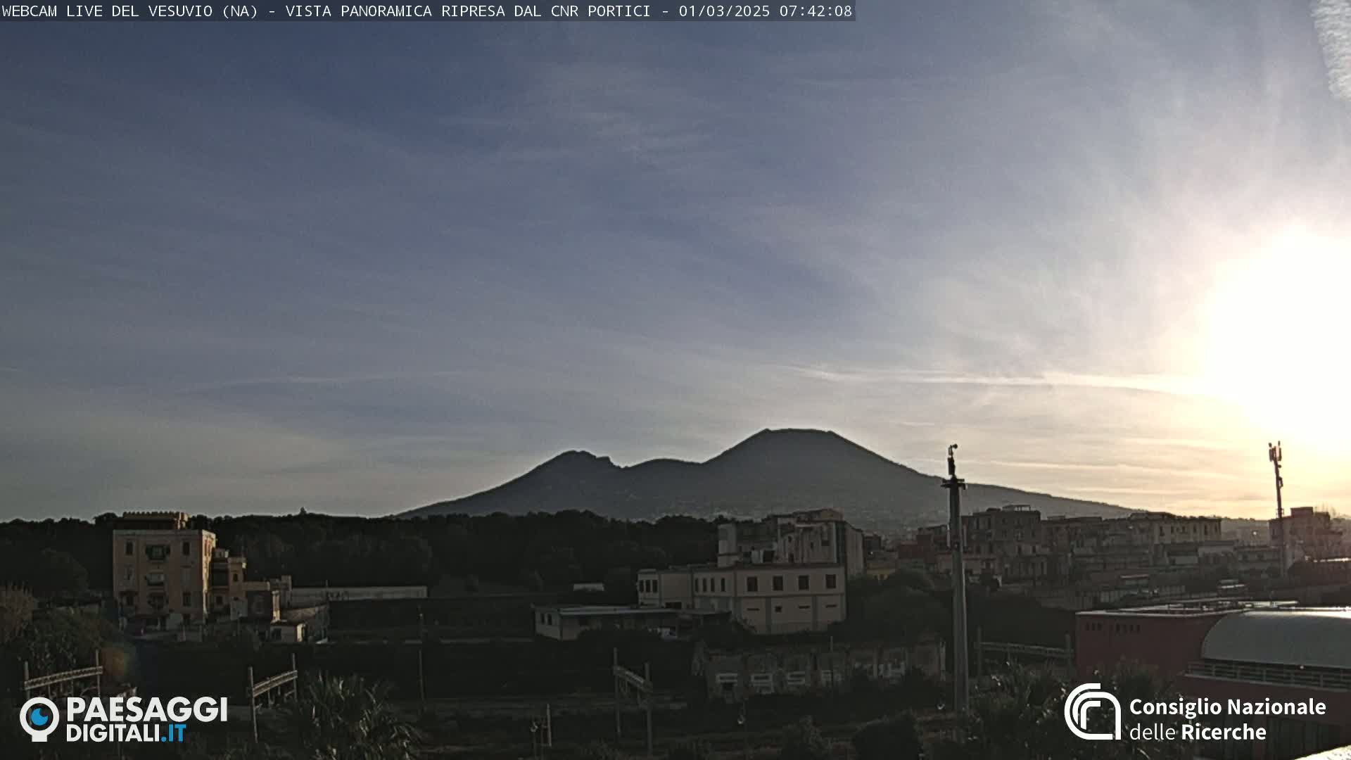 Mount Vesuvius is visible in the distance on a partly sunny morning, behind a cityscape of buildings and trees.