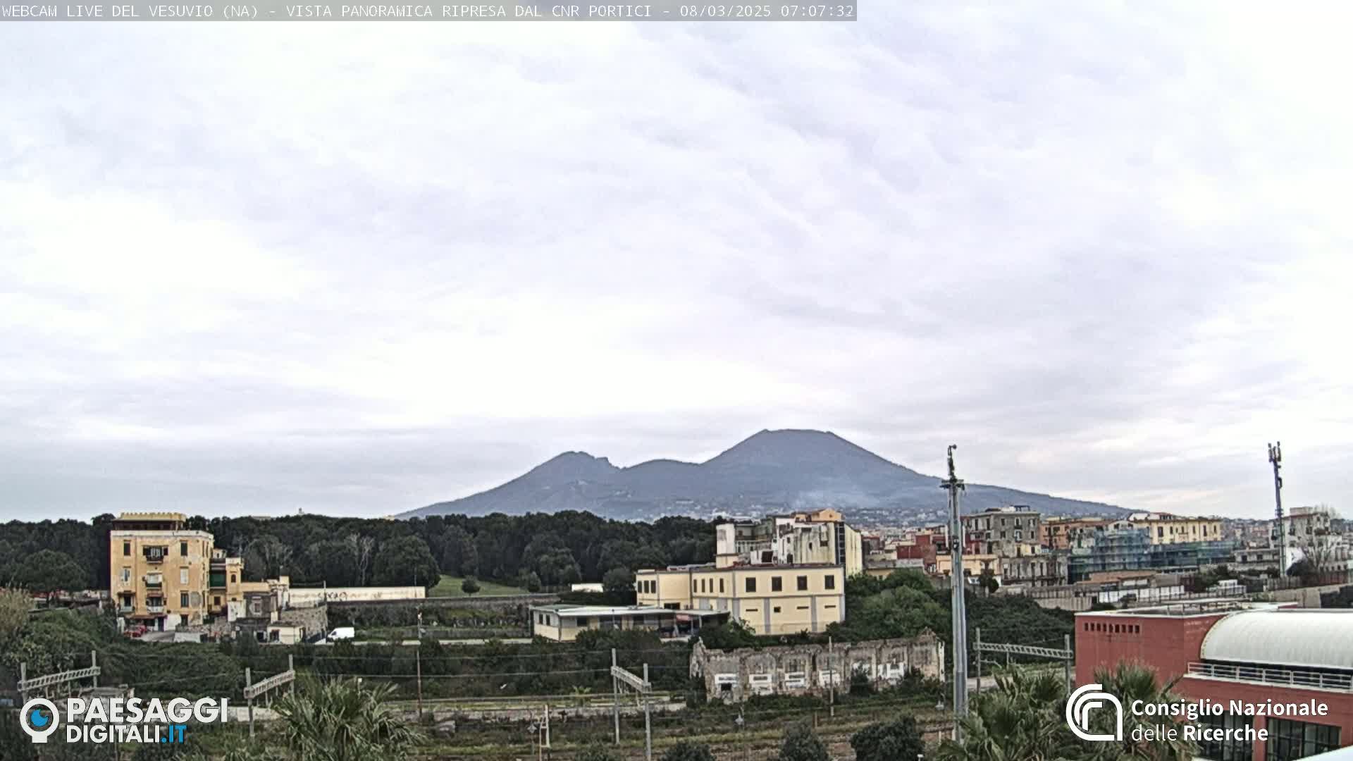 A view of Mount Vesuvius in the distance on an overcast day, with buildings and vegetation in the foreground.