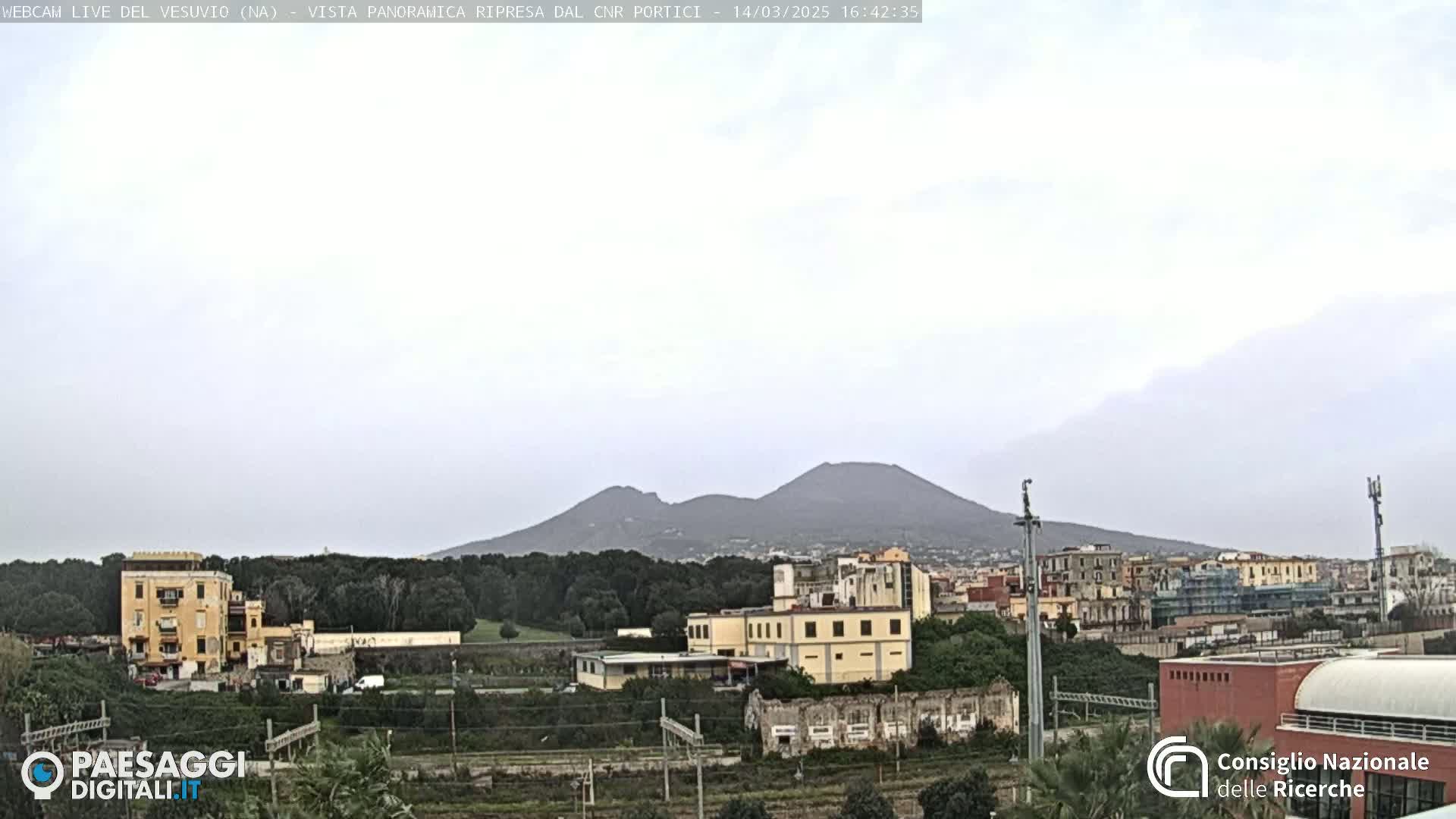 A hazy view of Mount Vesuvius in the distance, overlooking a town with buildings and trees under a cloudy sky.