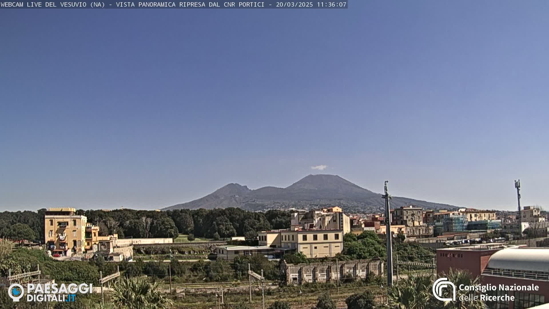 A view of Mount Vesuvius in the distance on a clear, sunny day, with buildings and greenery in the foreground.