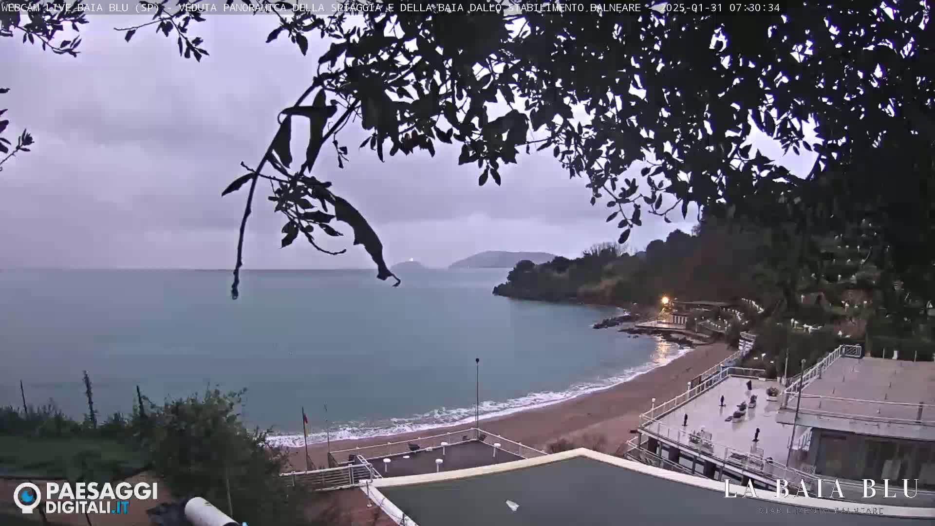 A beach with calm, gray water is partially visible through the branches of a tree under an overcast sky.