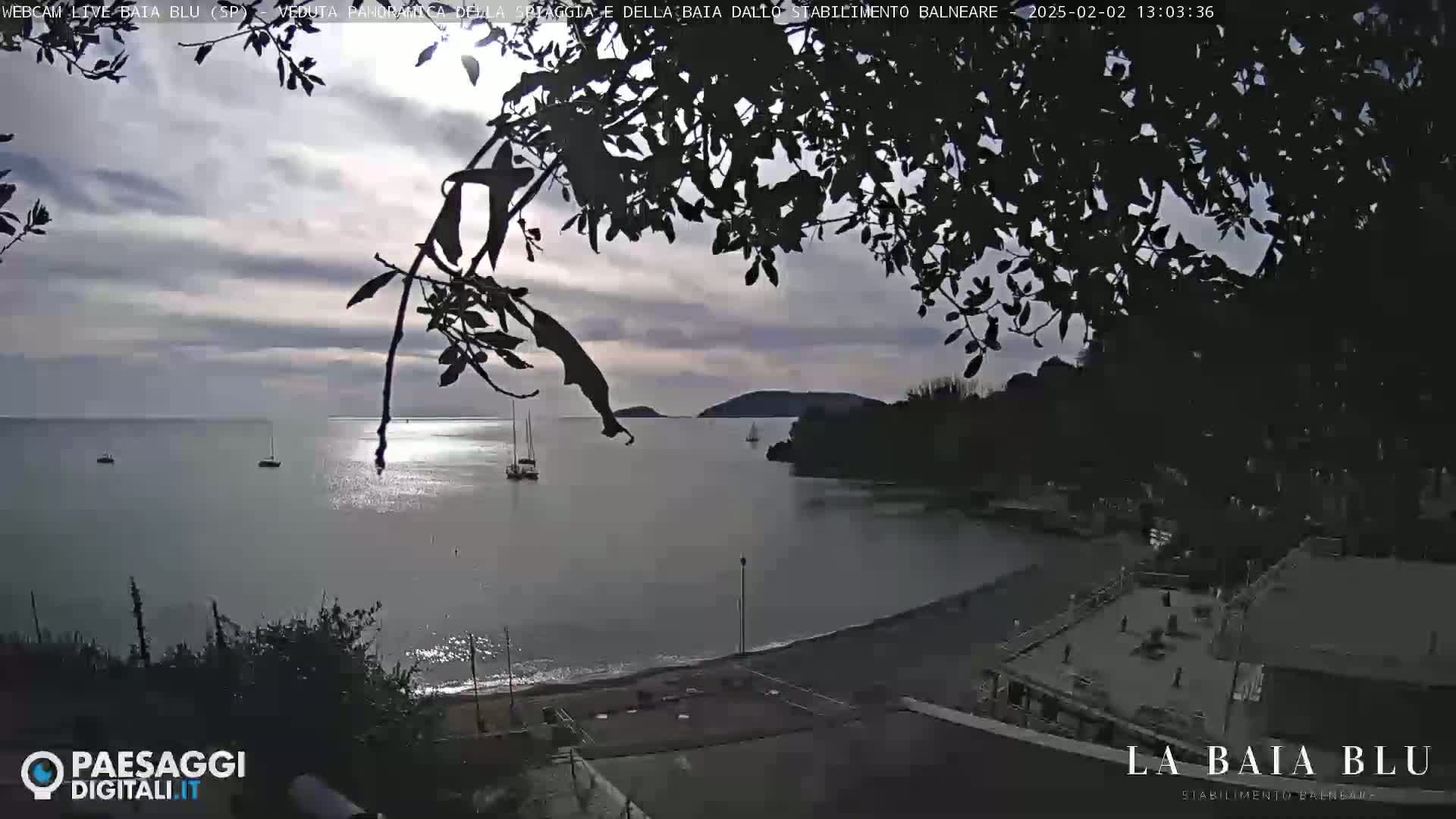 A calm bay with several sailboats is seen from behind silhouetted tree branches under a cloudy sky.