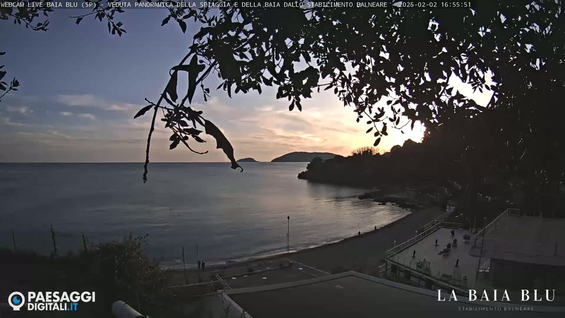 A tranquil beach scene at sunset, viewed through silhouetted branches, shows calm water lapping a sandy shore with a building in the foreground.