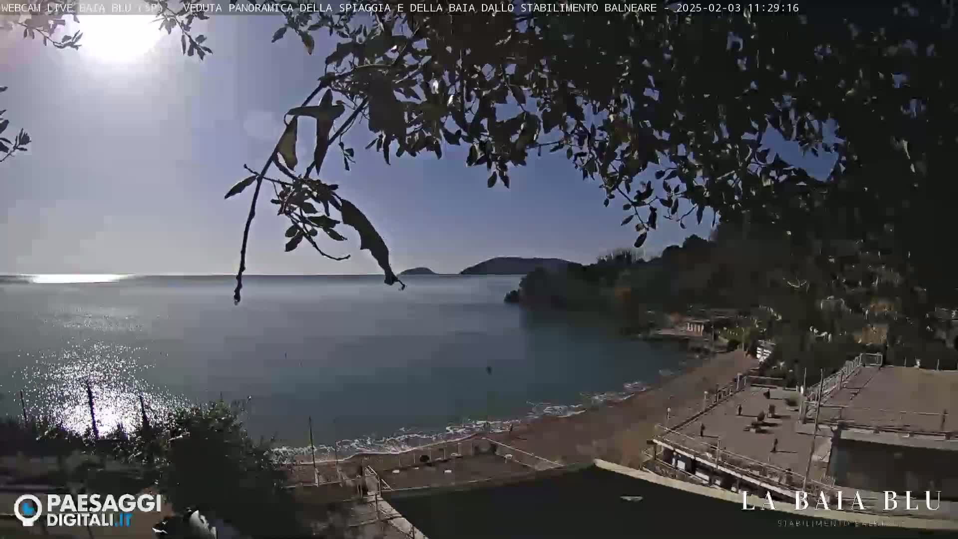 A sunny day overlooks a calm bay with a sandy beach and buildings, partially obscured by tree branches.