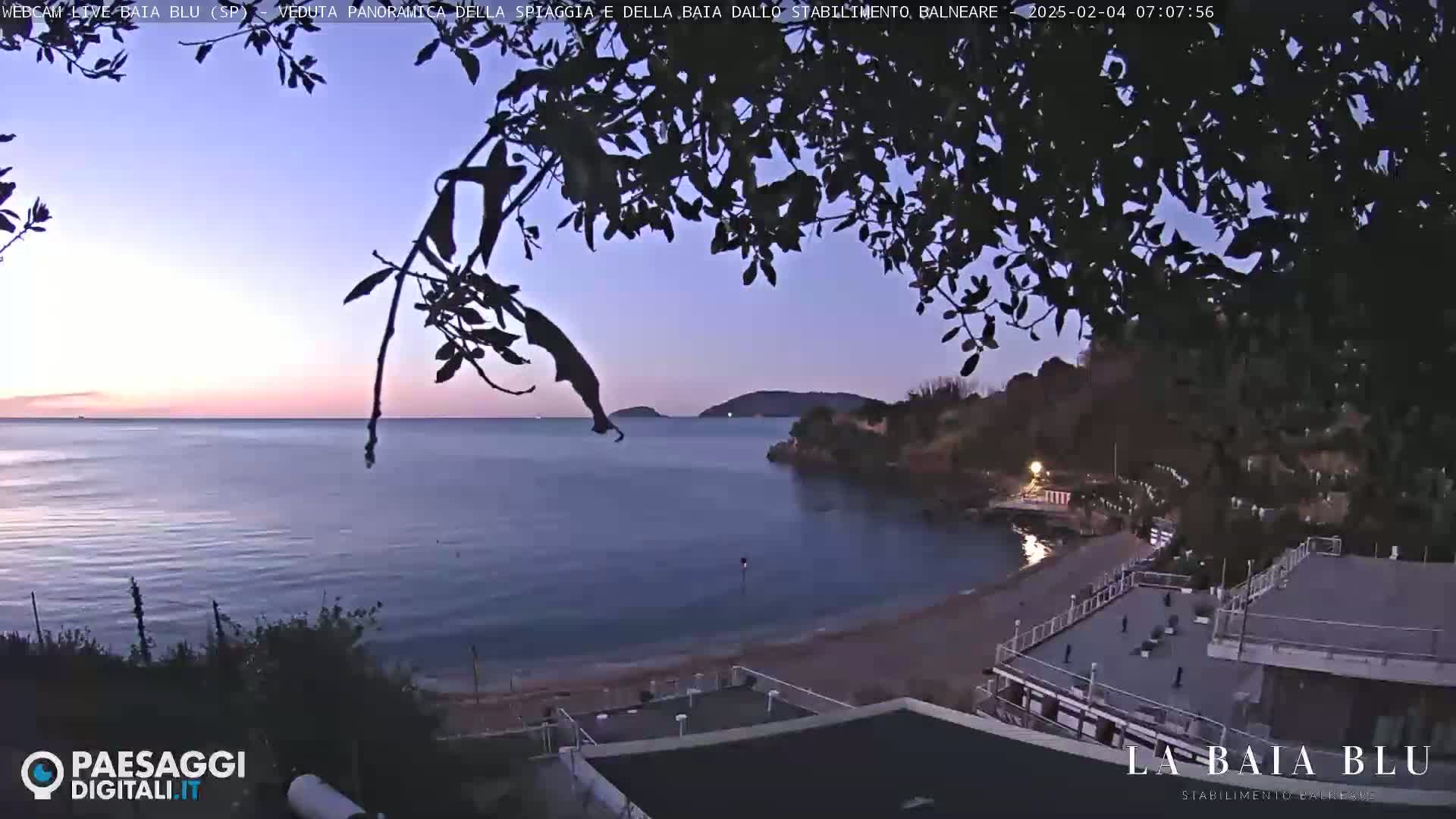 A twilight view of a calm bay with a sandy beach and buildings, partially obscured by tree branches.