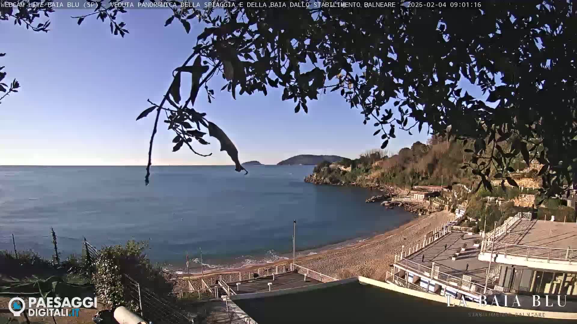 A sandy beach curves into a calm bay under a clear blue sky, partially obscured by overhanging branches.