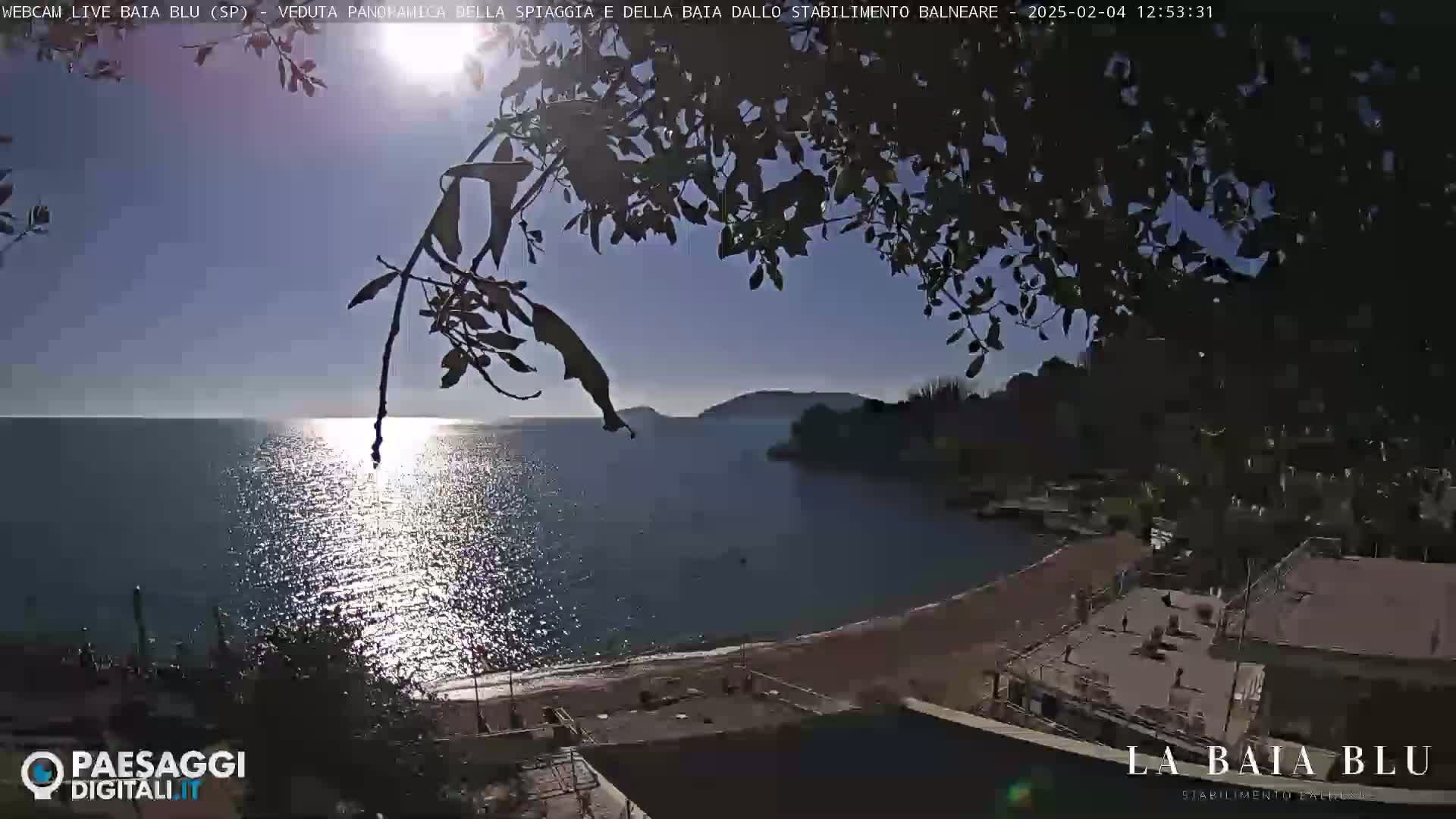 A sunny day at a beach cove, viewed from above through overhanging branches, shows calm water reflecting sunlight and a sandy shore with buildings.