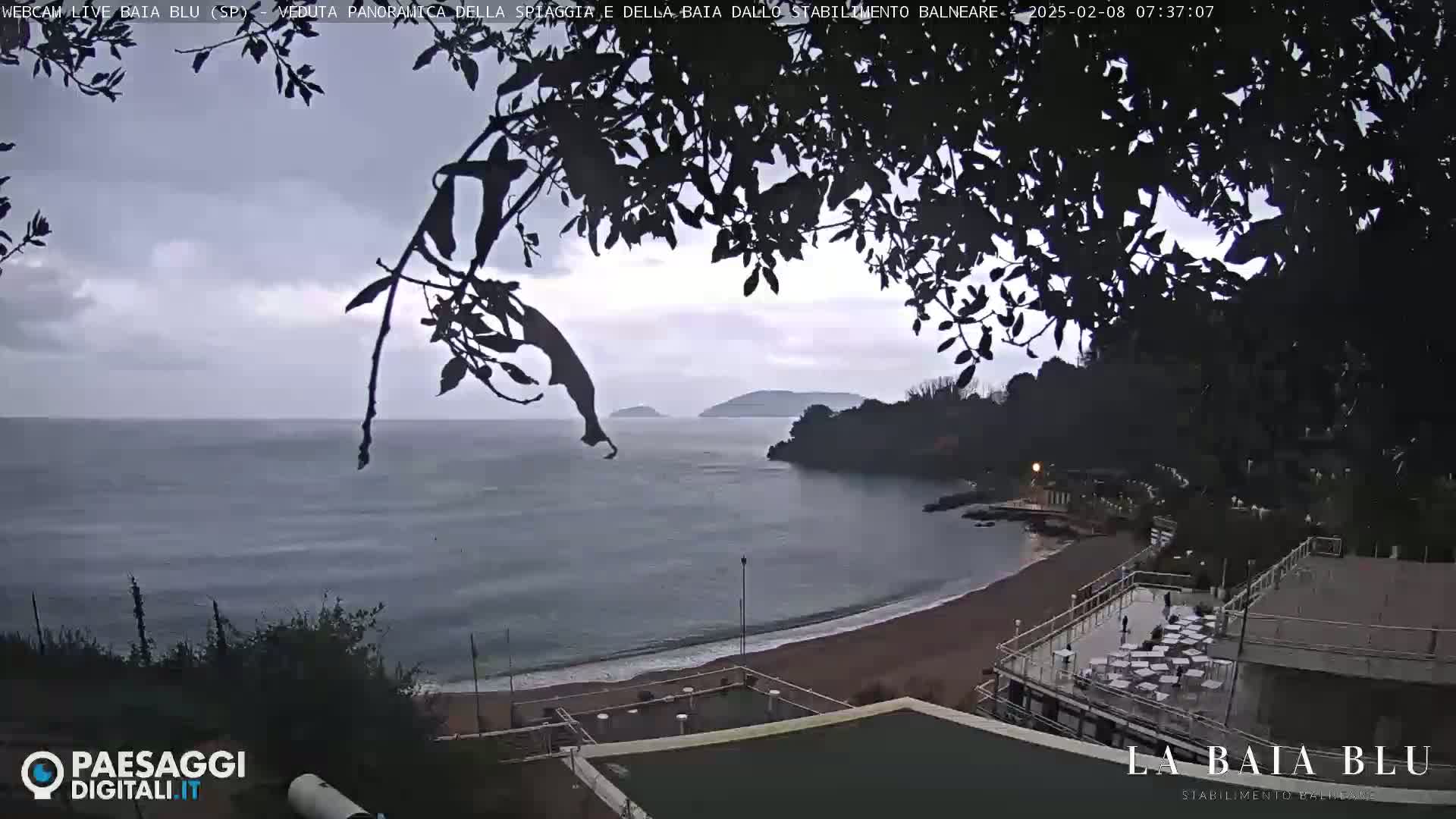 A beach with a calm sea under an overcast sky is partially obscured by overhanging tree branches.