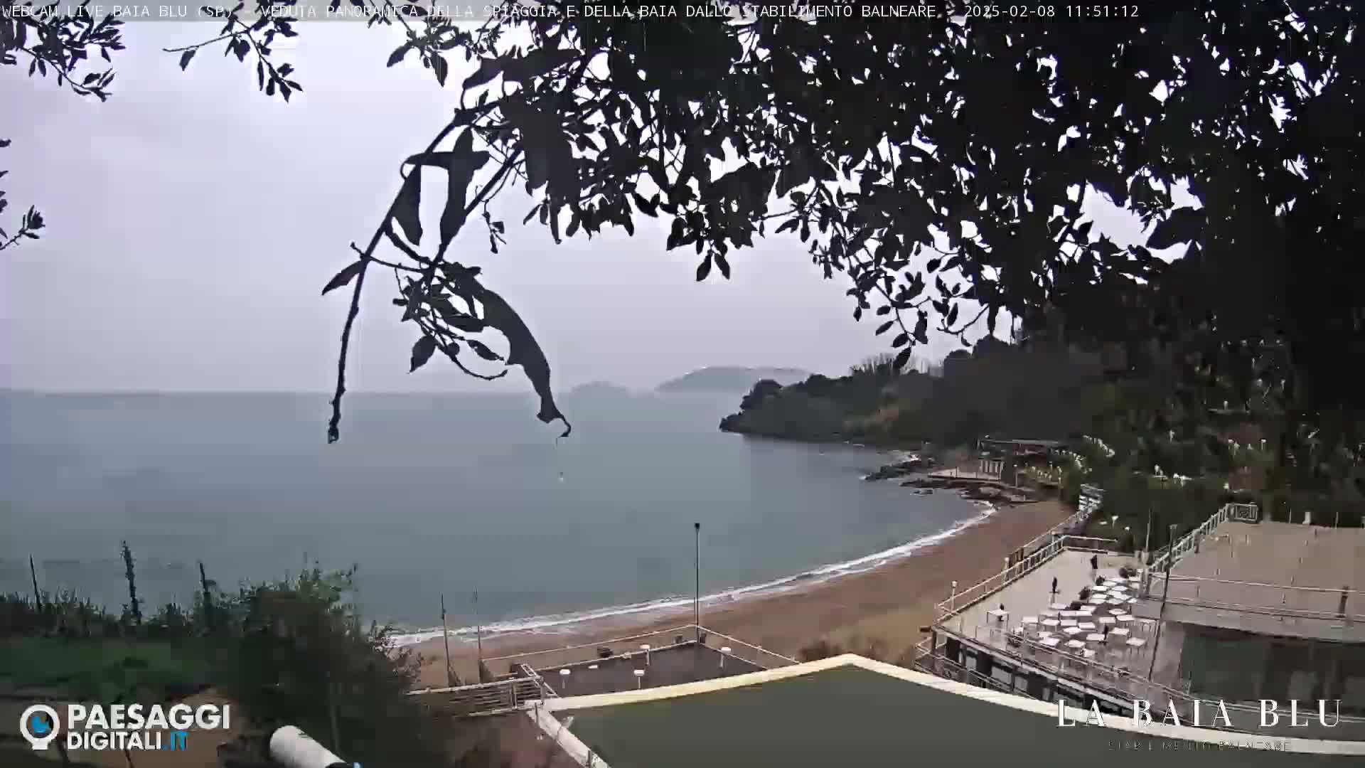 A hazy, overcast day reveals a beach with a sandy shoreline and calm water, partially obscured by tree branches in the foreground.