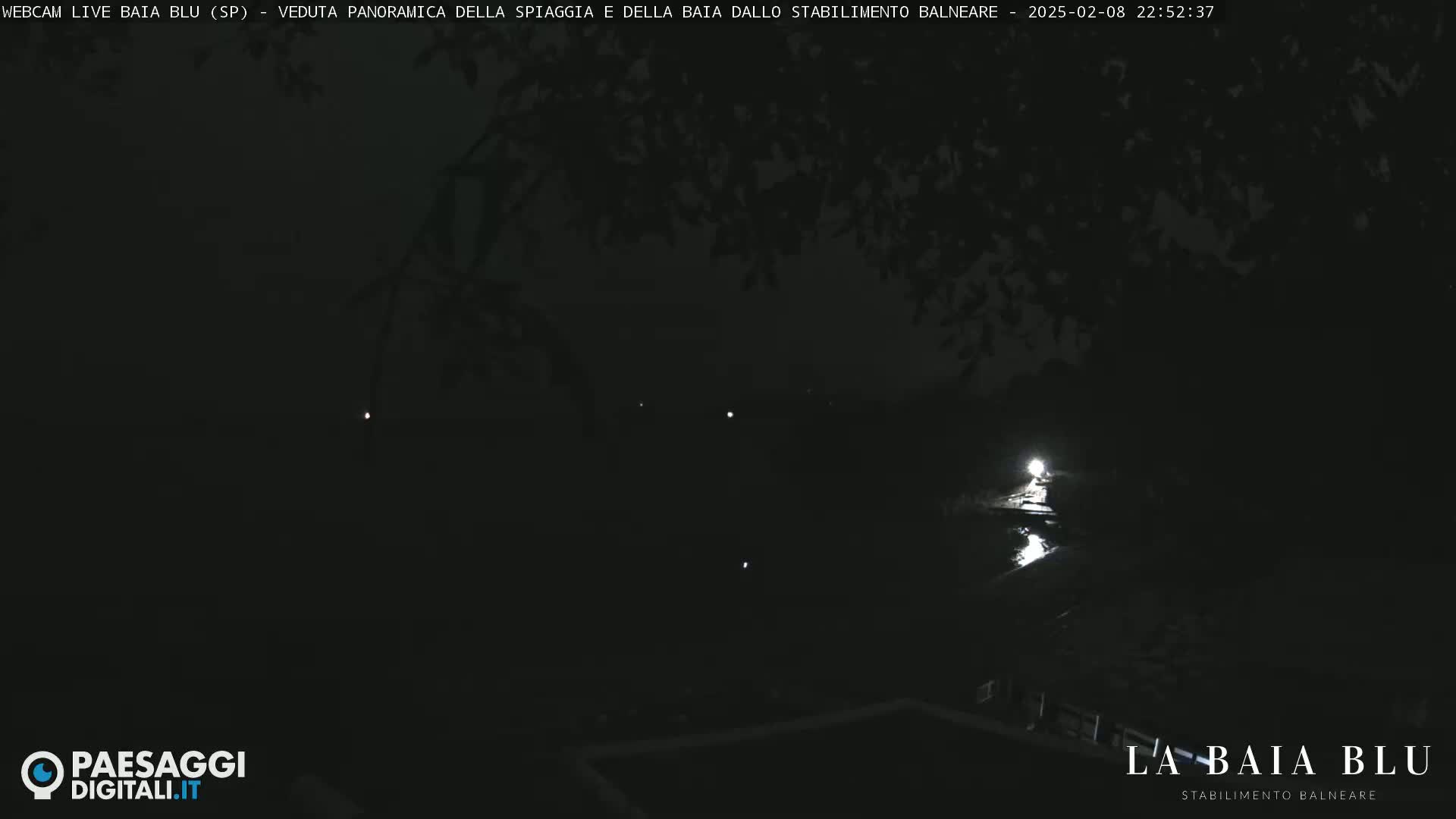 A nighttime, low-light view of a dark body of water with a few faint lights visible in the distance, partially obscured by dark trees.