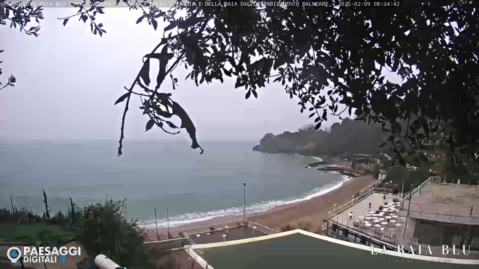 A mostly overcast view of a sandy beach curving into a calm bay, partially obscured by tree branches.