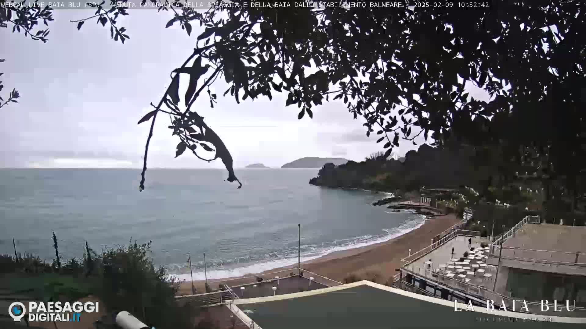A mostly cloudy day shows a view of a sandy beach, calm ocean waves, and distant hills from behind a silhouetted tree branch.