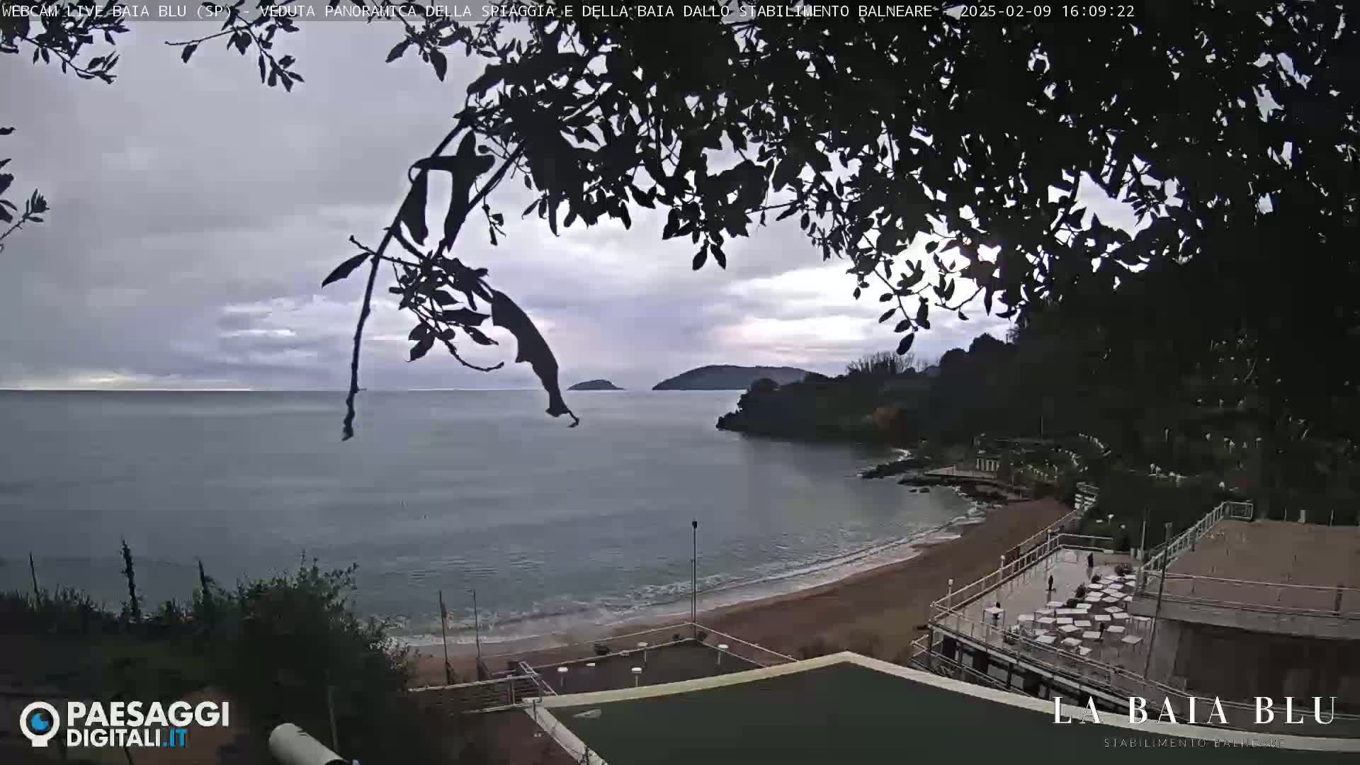 A mostly cloudy day overlooks a sandy beach and calm ocean, partially obscured by tree branches.