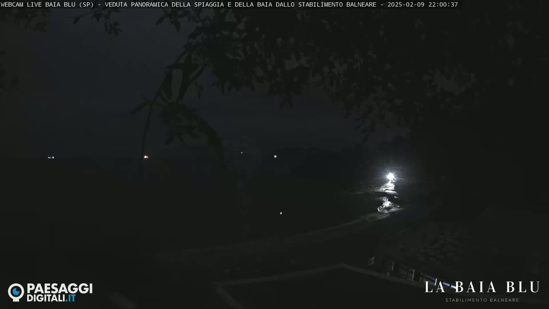 A nighttime, dark view of a beach and bay, partially obscured by tree branches.