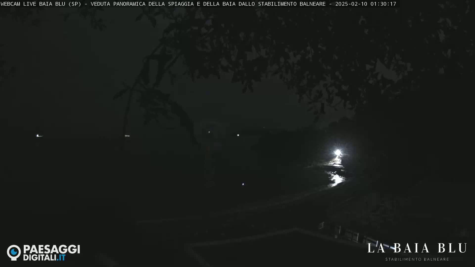 A nighttime, low-light view of a beach and bay, partially obscured by tree branches.