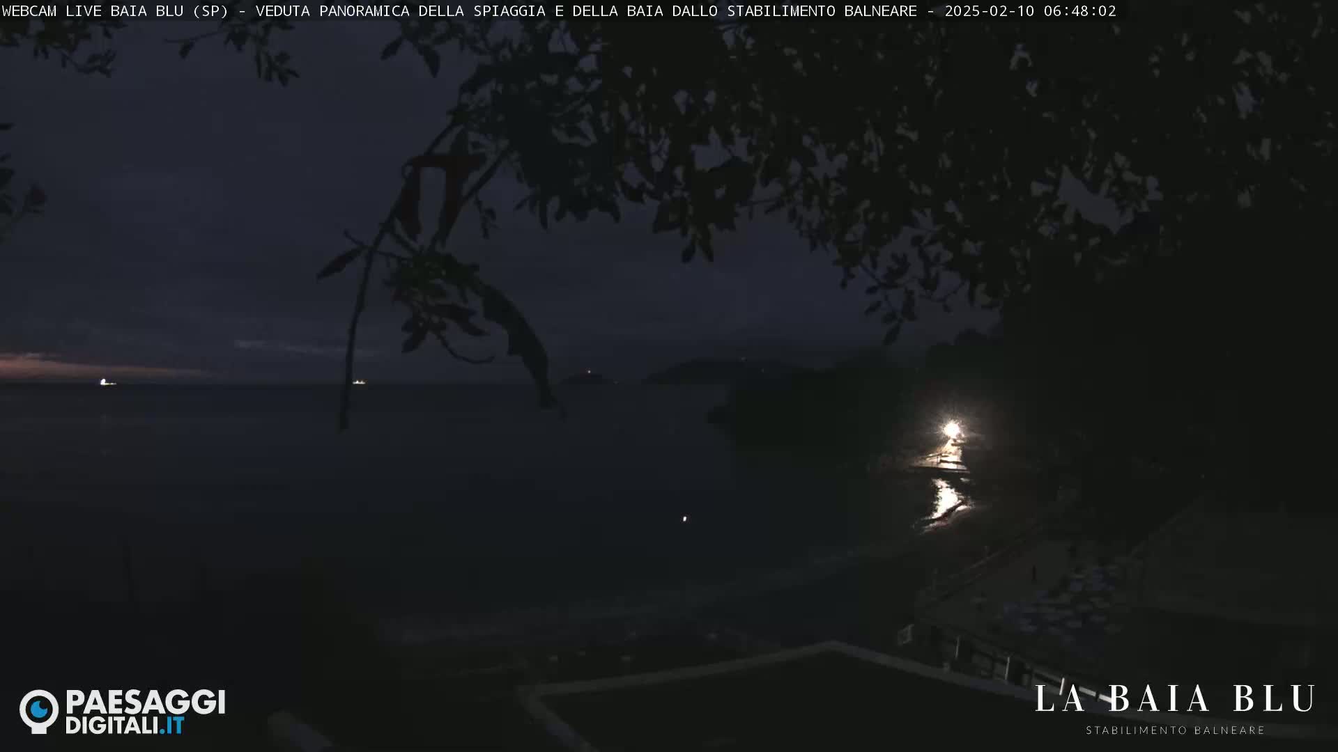 A dark, nighttime view of a beach and bay, partially obscured by tree branches, shows dimly lit water and land with faint lights visible in the distance.