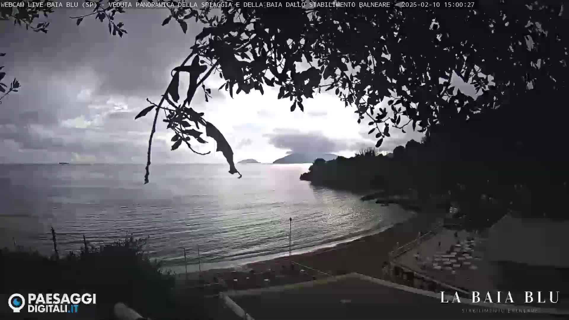 Overcast skies loom over a calm bay with a sandy beach and a small, partially visible island in the distance, viewed from behind dark tree branches.