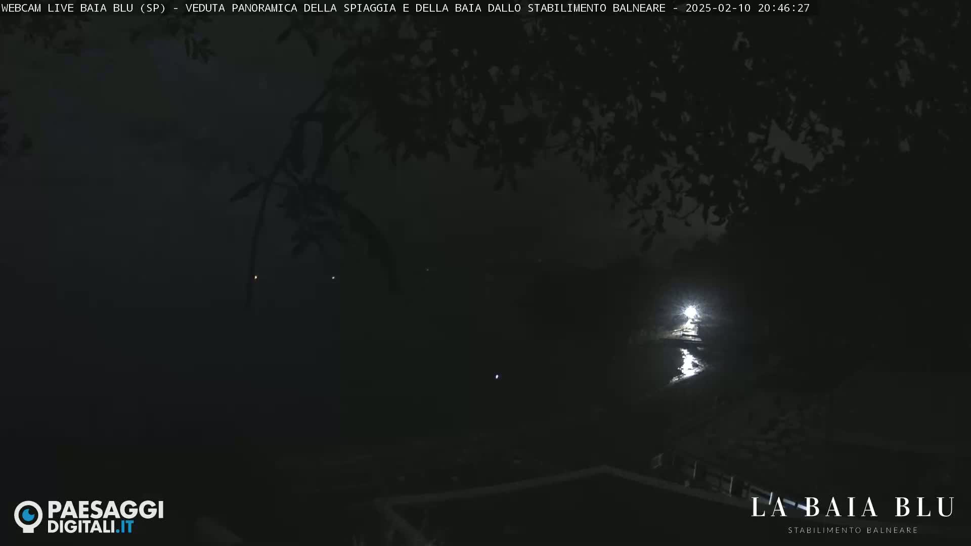 A dark, nighttime scene shows a body of water reflecting a bright light, with silhouetted tree branches in the foreground.
