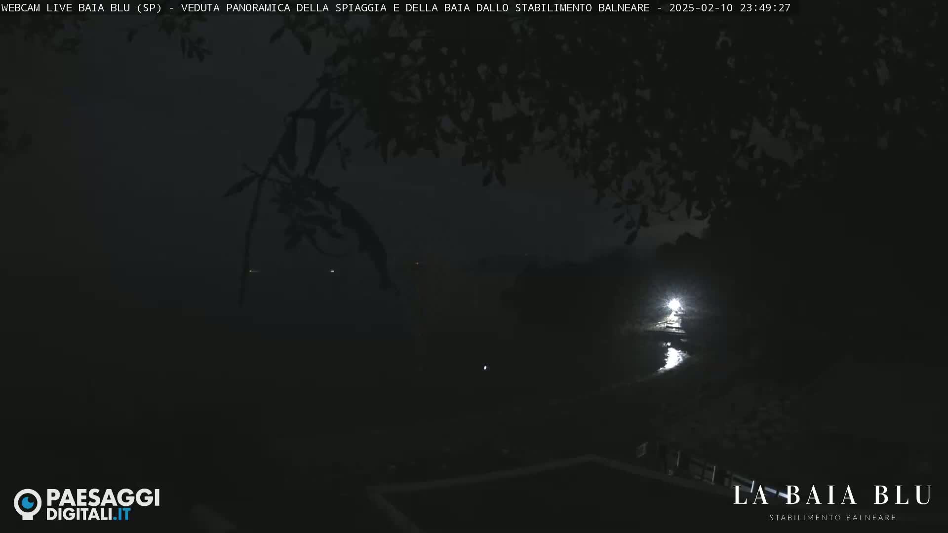 A nighttime, hazy view of a dark body of water reflecting a distant light, partially obscured by tree branches.