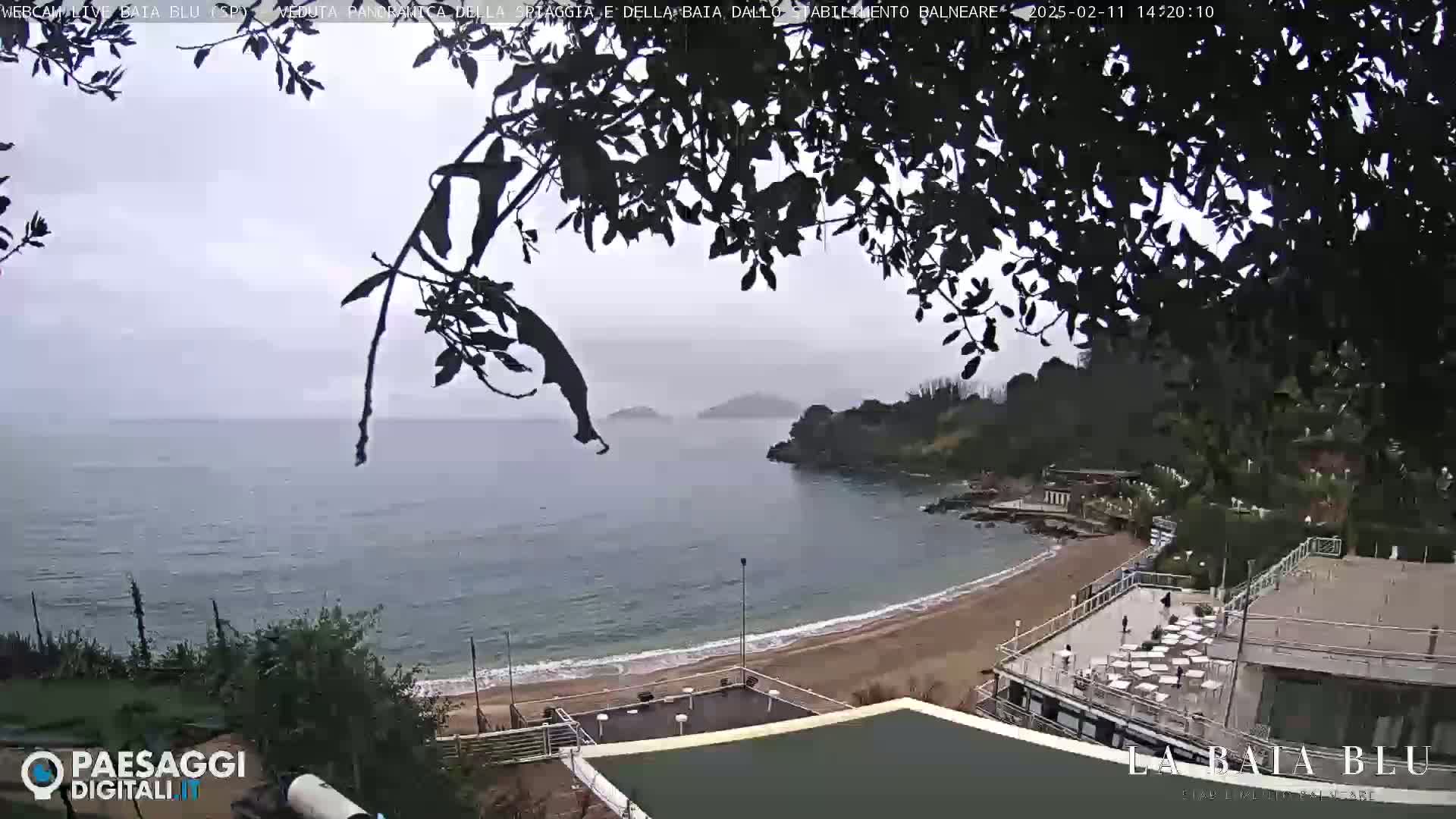A beach with calm water and overcast skies is viewed from a slightly elevated position, partially obscured by tree branches.