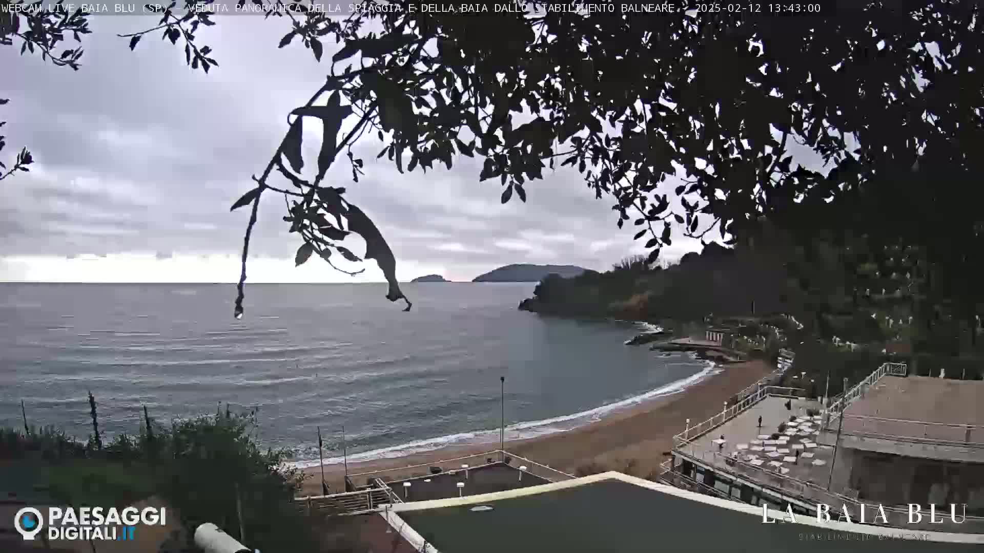A beach with a sandy shore and calm, grey water is partially visible beneath a cloudy sky, partially obscured by overhanging tree branches.