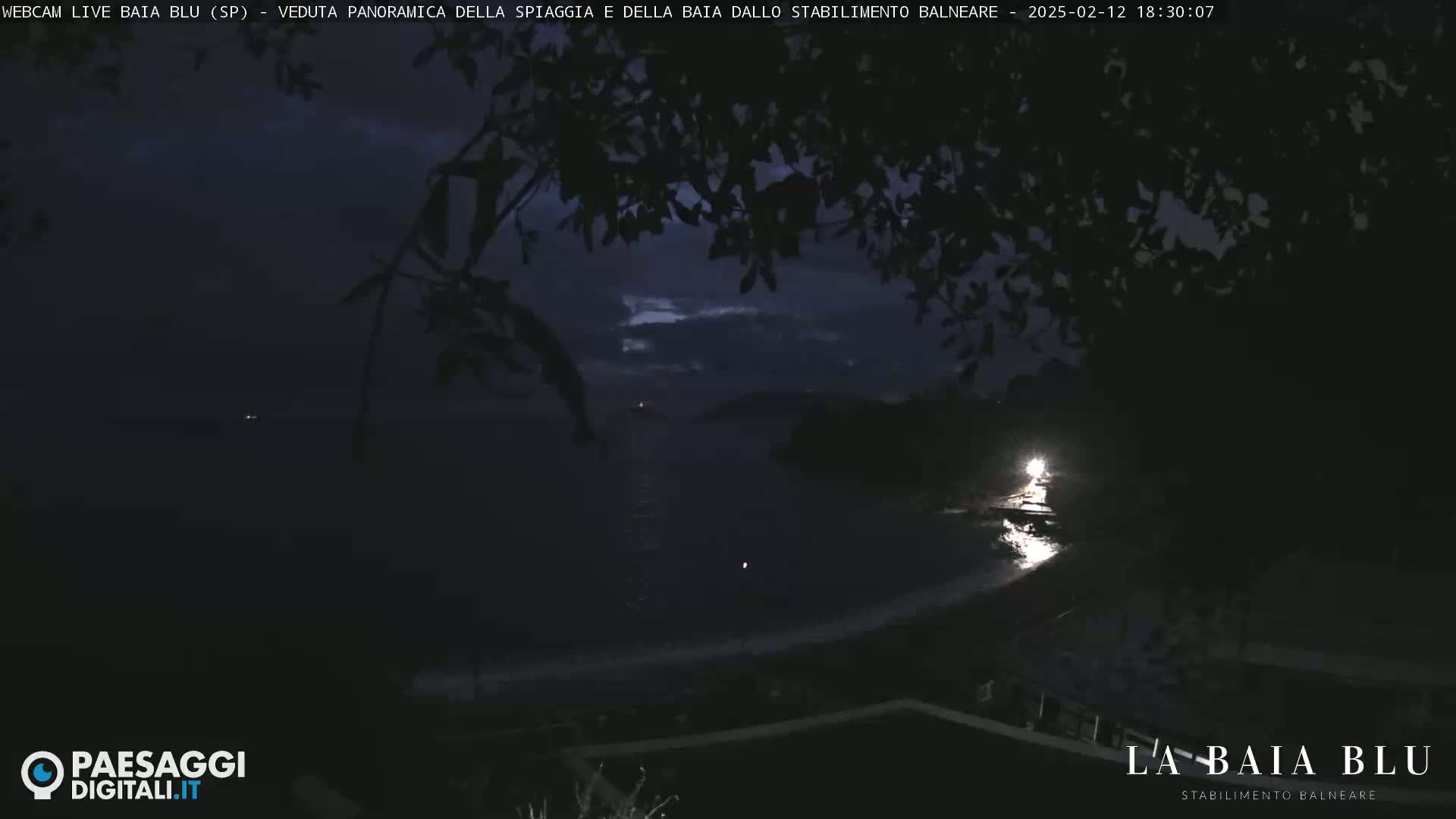 A dark, nighttime view of a beach and ocean, partially obscured by tree branches, under a mostly cloudy sky.
