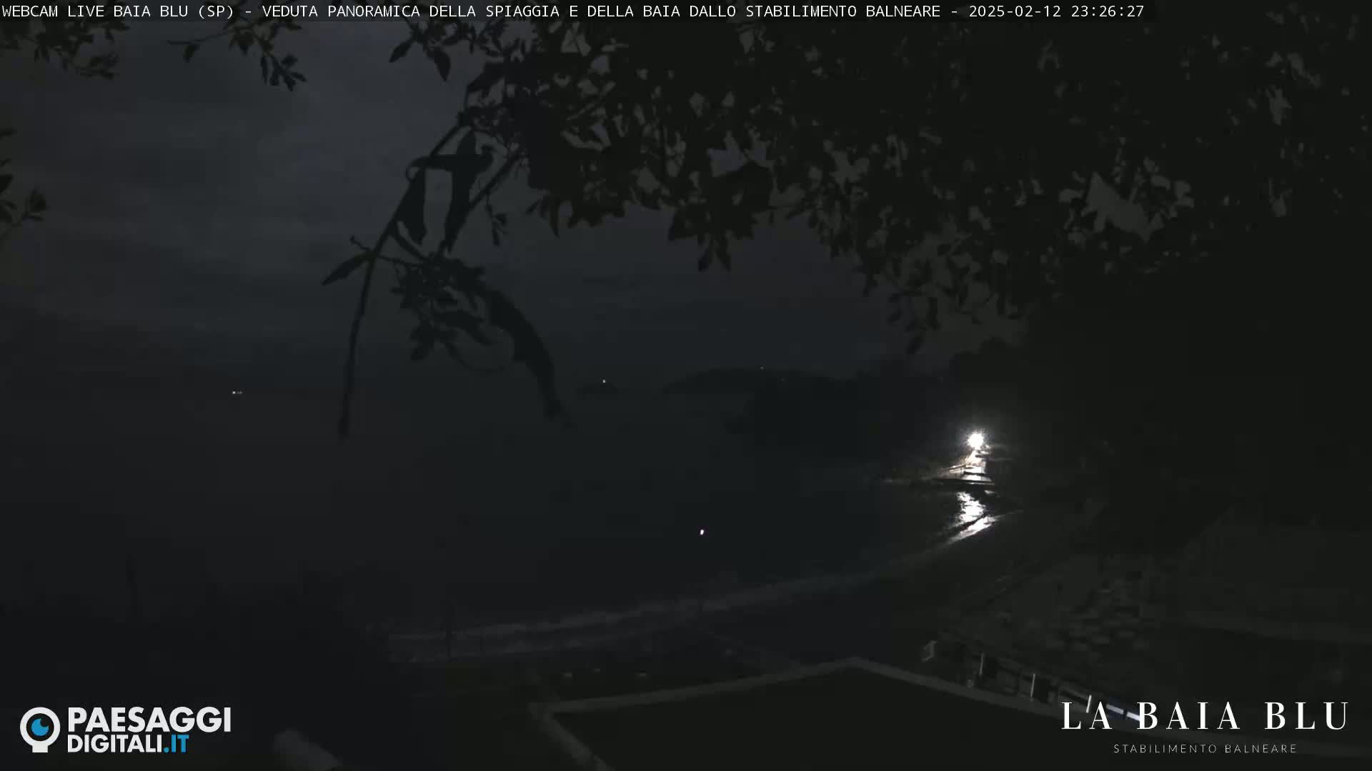 A dark, nighttime view of a beach and ocean seen through silhouetted tree branches.