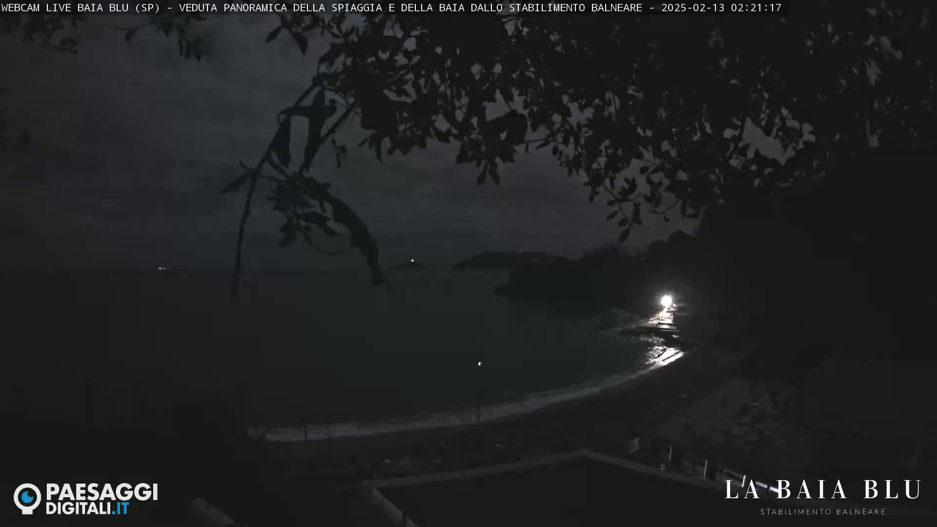 A dark nighttime view of a beach and bay, partially obscured by tree branches, with a single light source visible on the shore.