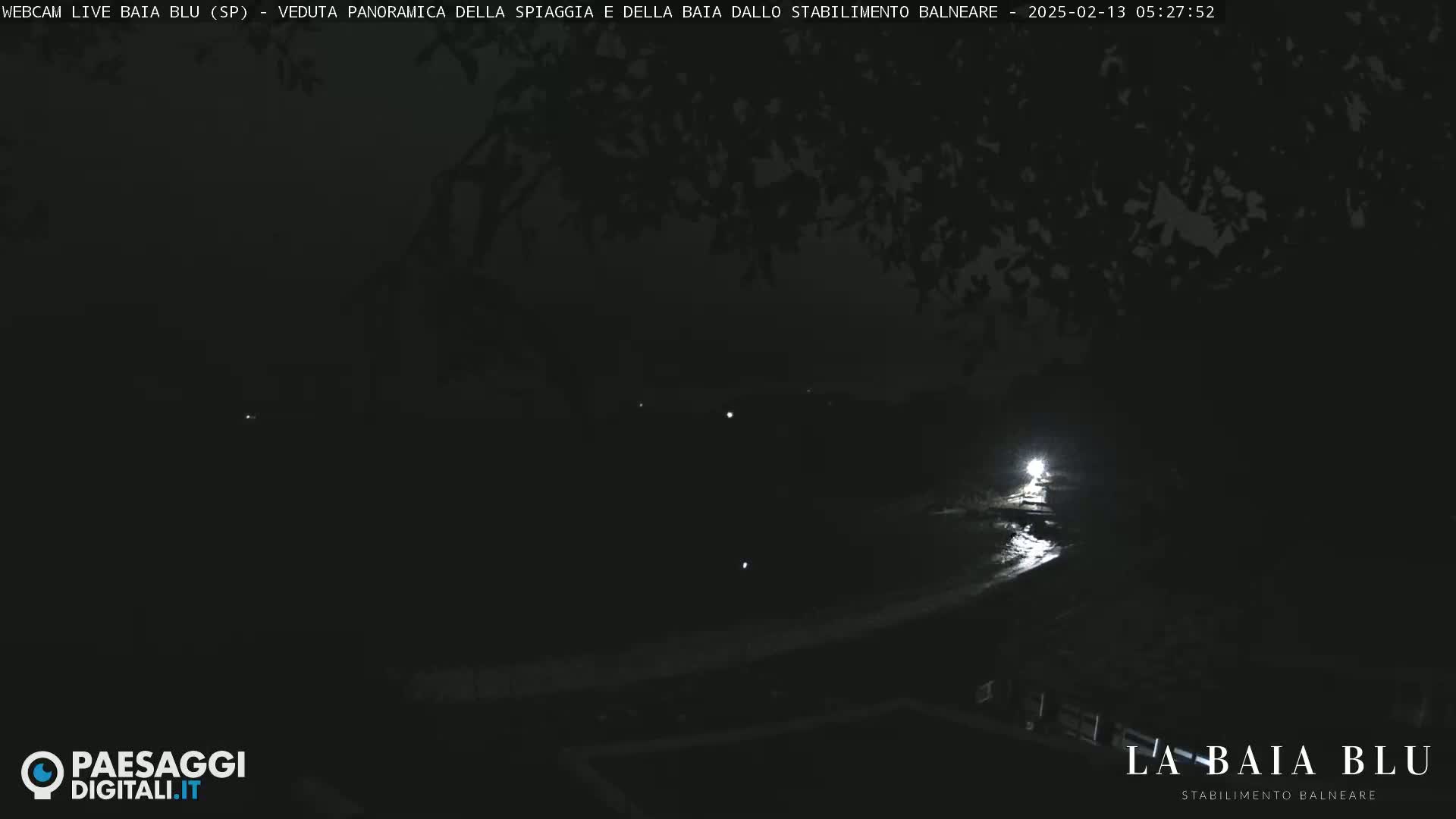 A nighttime, low-light view of a dark beach and bay, partially obscured by tree branches.