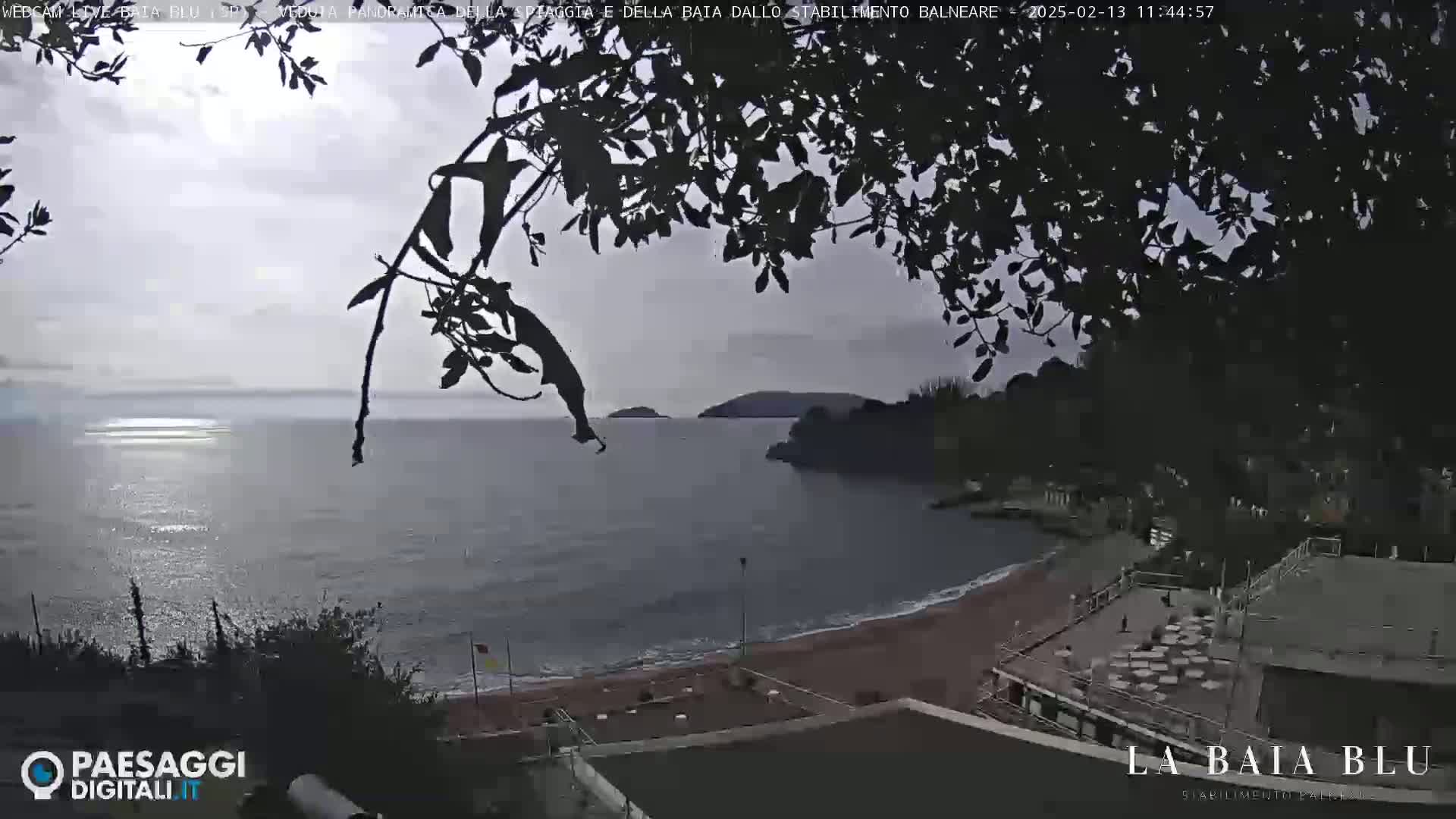 An overcast day reveals a view of a calm bay with a red sand beach and buildings, partially obscured by tree branches.
