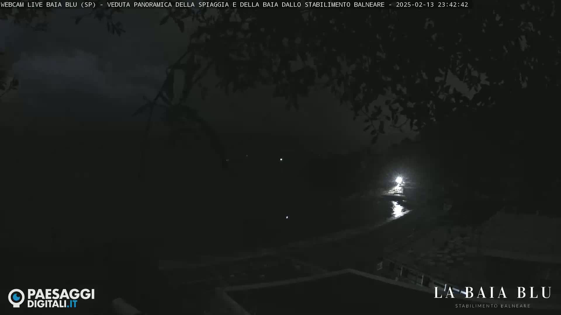 A nighttime, dark view of a beach and bay, partially obscured by tree branches, with a single bright light visible in the distance.