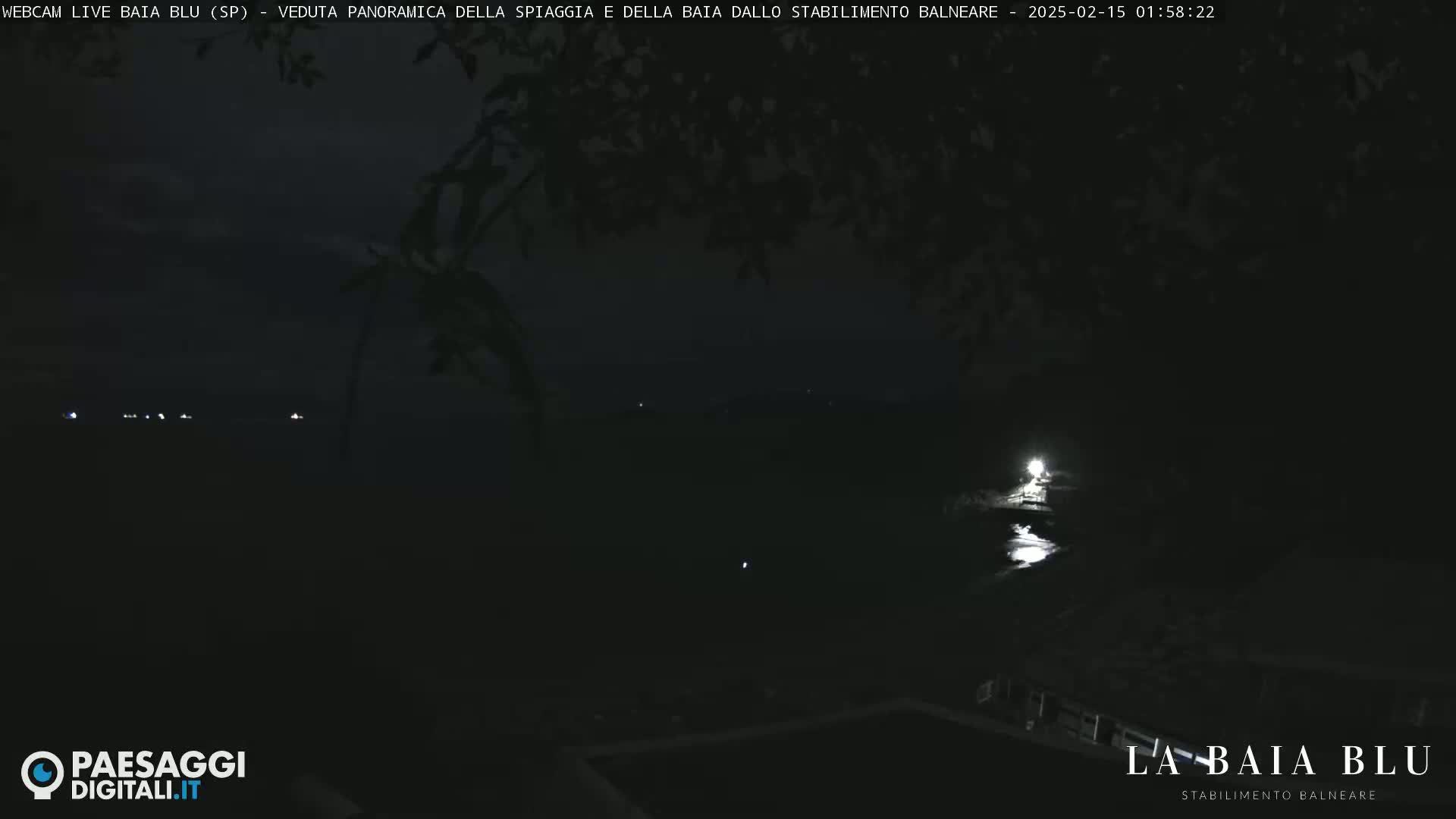 A nighttime, panoramic view of a dark bay with a few distant lights and a brighter light closer to the camera, partially obscured by silhouetted tree branches.