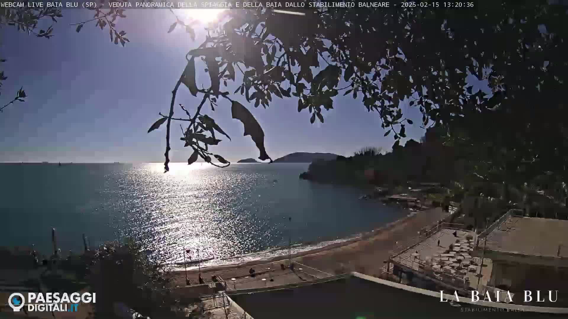 A sunny day shows a beach with calm, sparkling water, partially obscured by tree branches in the foreground.