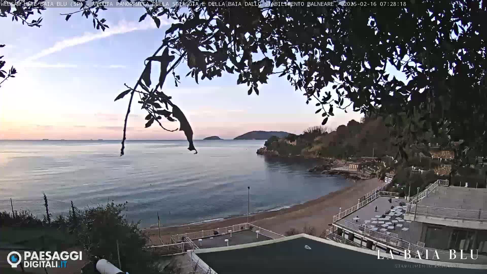 A tranquil beach scene at sunrise is partially obscured by tree branches, showing calm waters, a sandy shore, and buildings along the coast.
